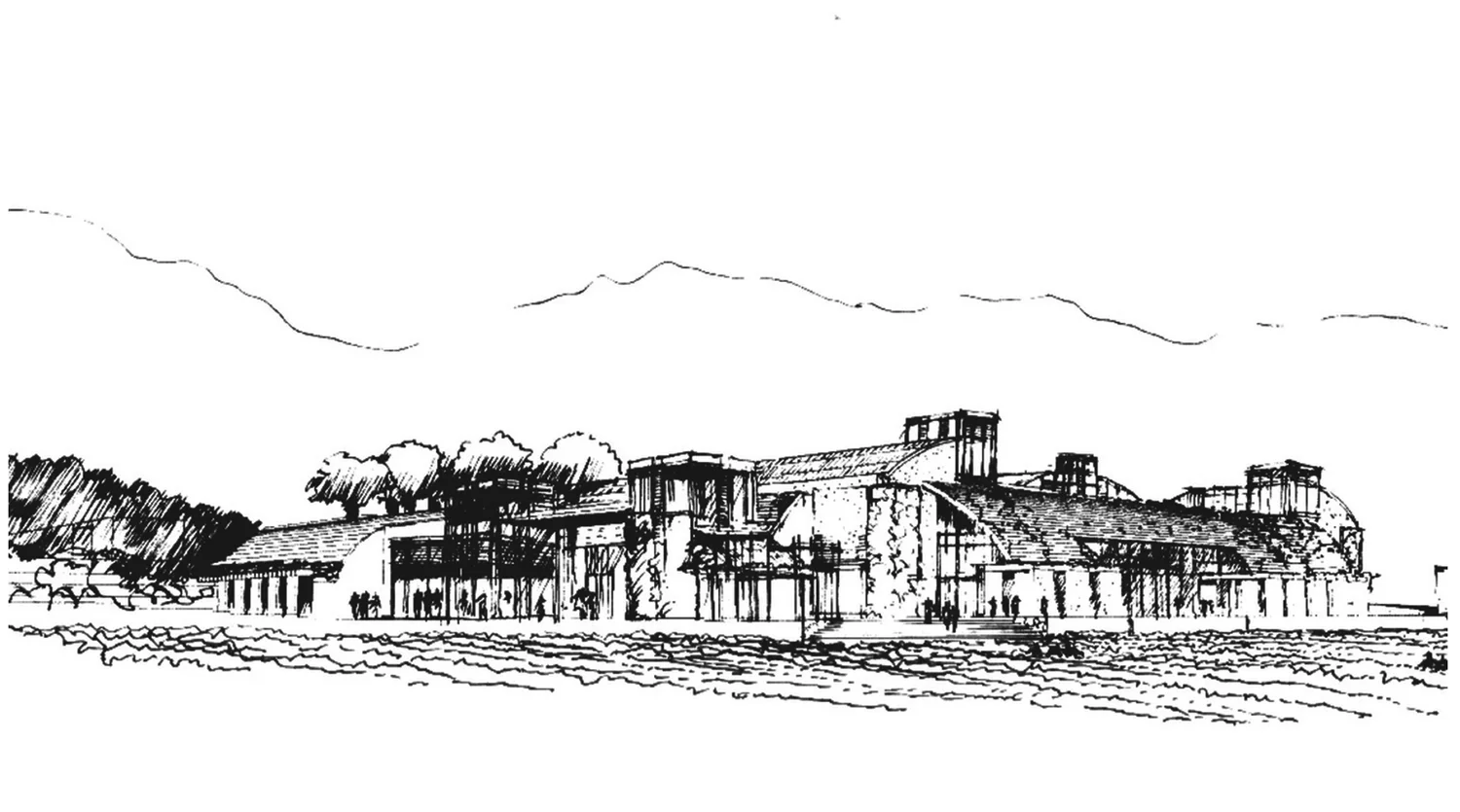 sketch5.jpg