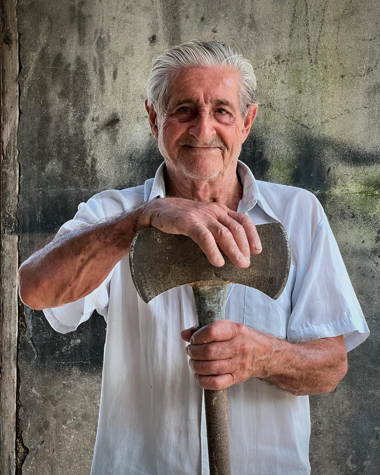 Virgilio, guardi&aacute;n de la nobleza, de la gratitud,del esplendor,de los surcos florecidos y el indescifrable canto del &aacute;rbol de canela&hellip;&hellip;