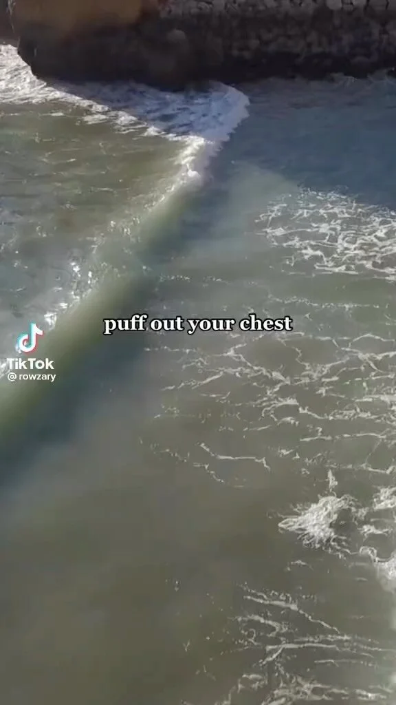 Heads Up for Harry — Contact Us