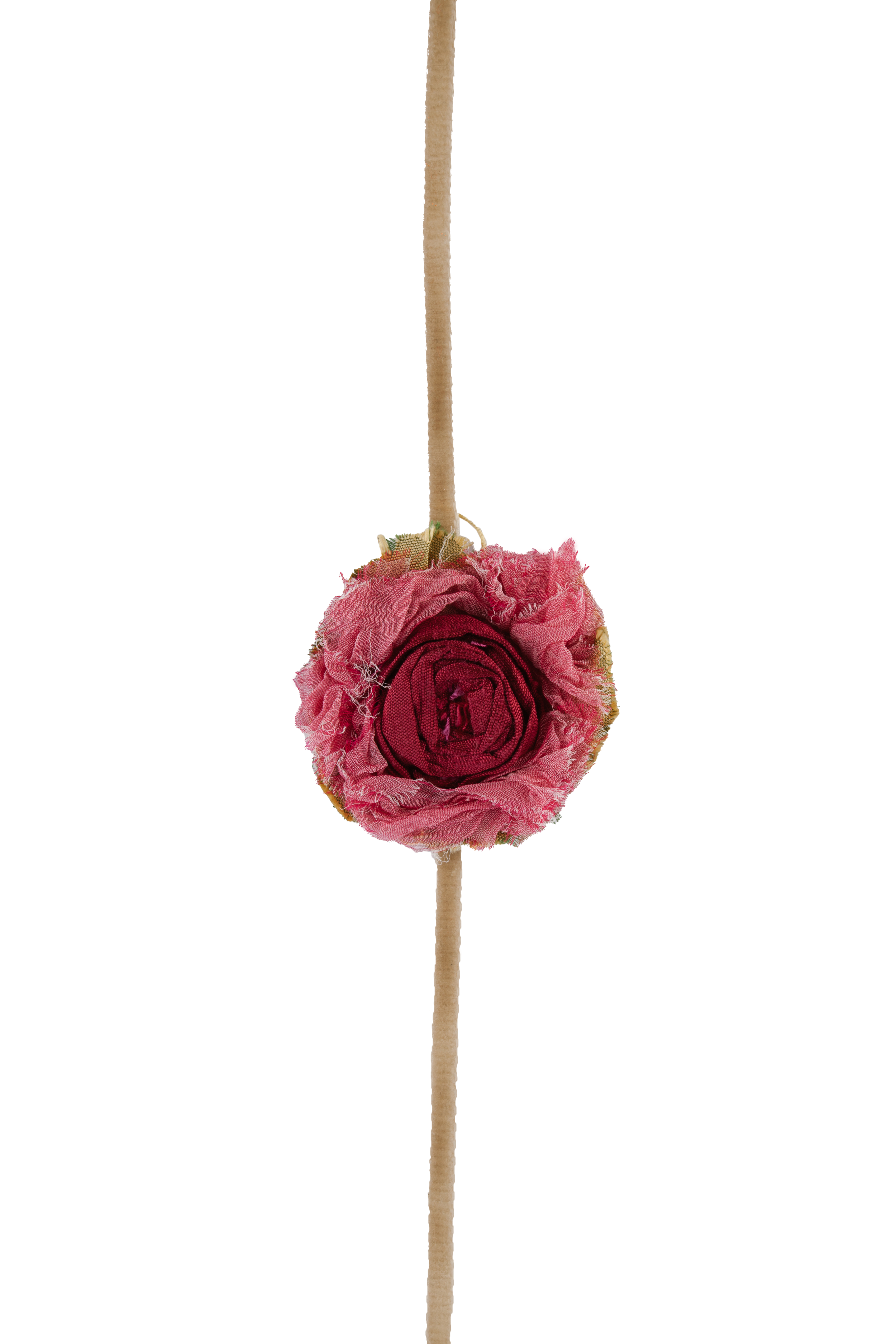 IMG_8590.png