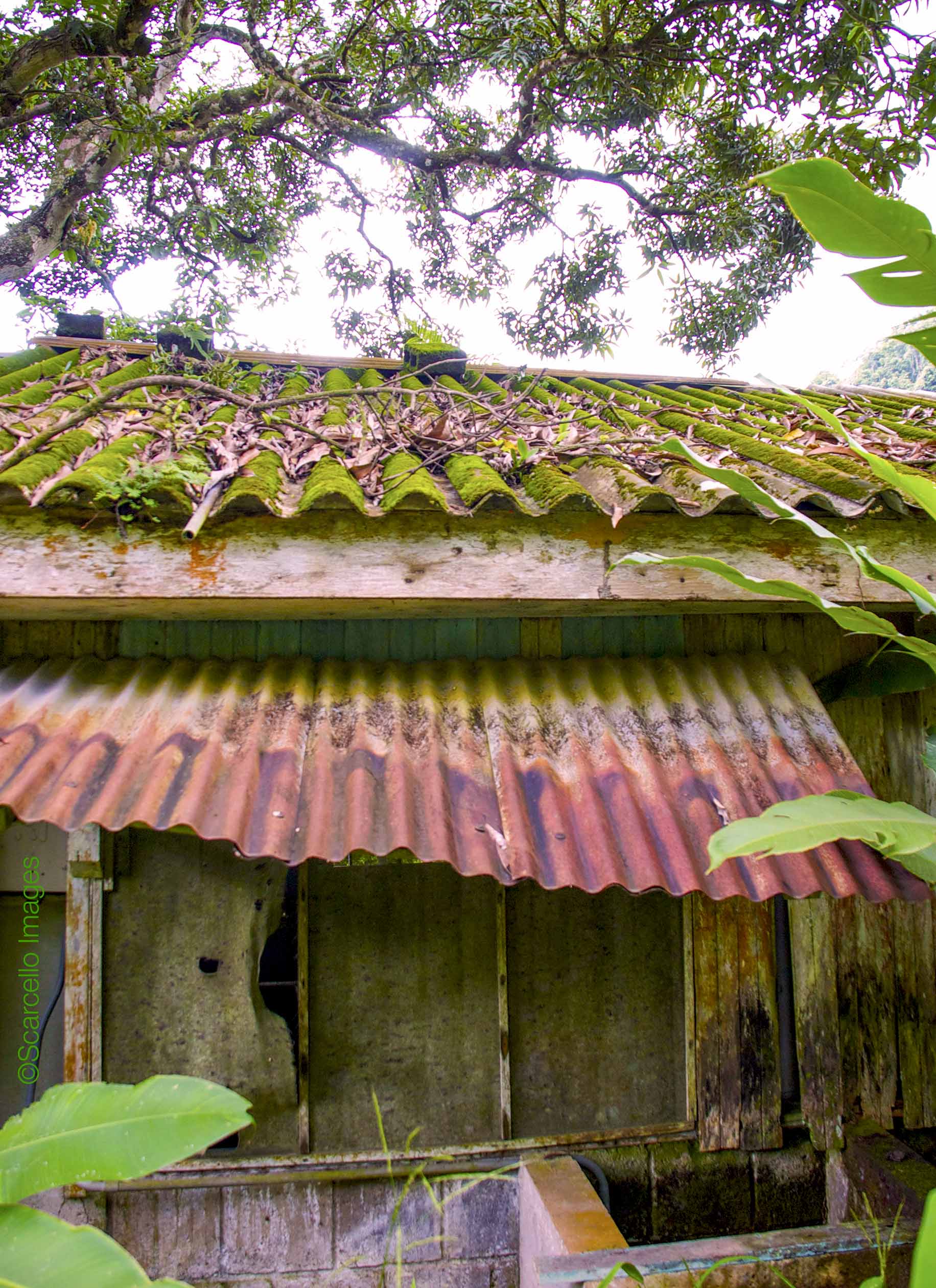 Caretaker shack | Costa Rica