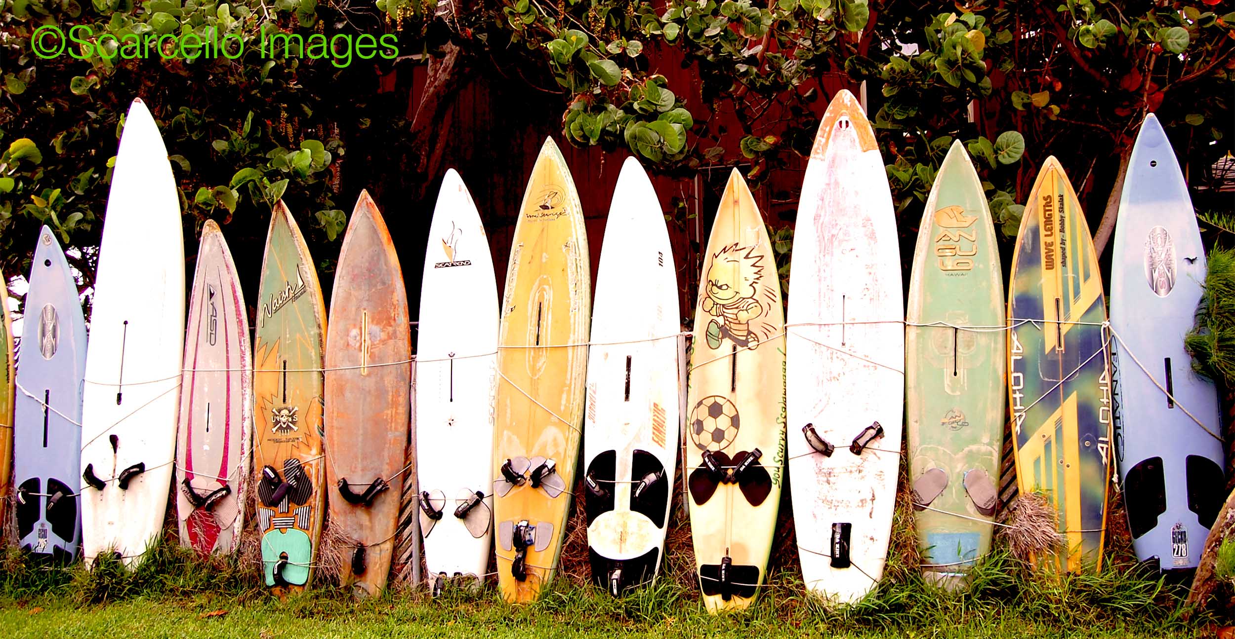 Surfboards copy.jpg