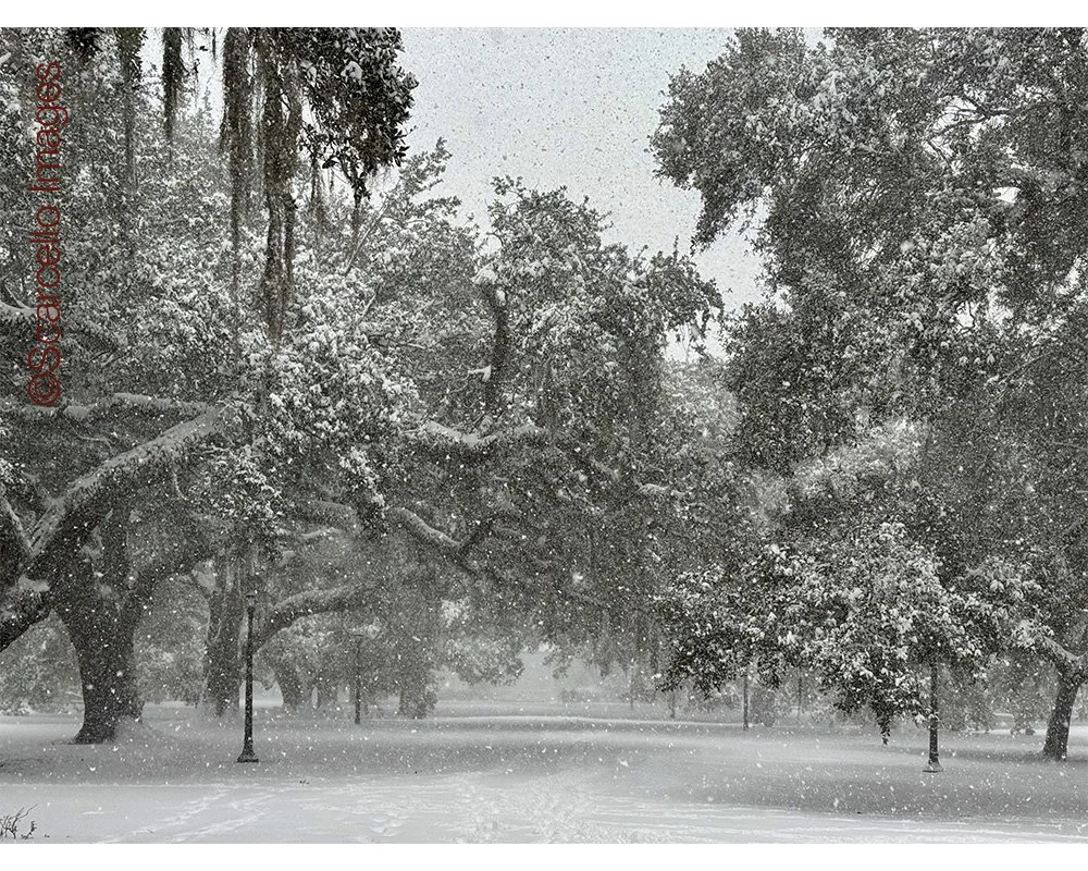 Newman Bandstand in snow for web.jpg