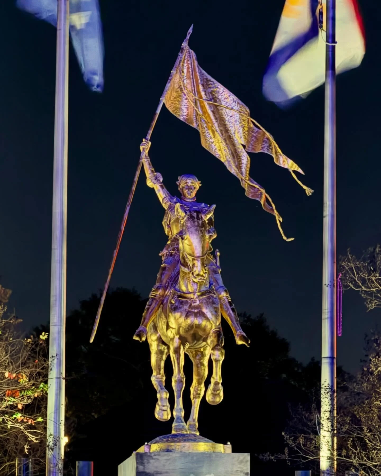 Jeanne d&rsquo;Arc birthday parade on January 6.  It&rsquo;s carnival time, y&rsquo;all!
.
.
.
@krewejeannedarc #mardigras #nolalove #frenchquarter #twelfthnight #joanofarc @poppyseed015 @visitneworleans