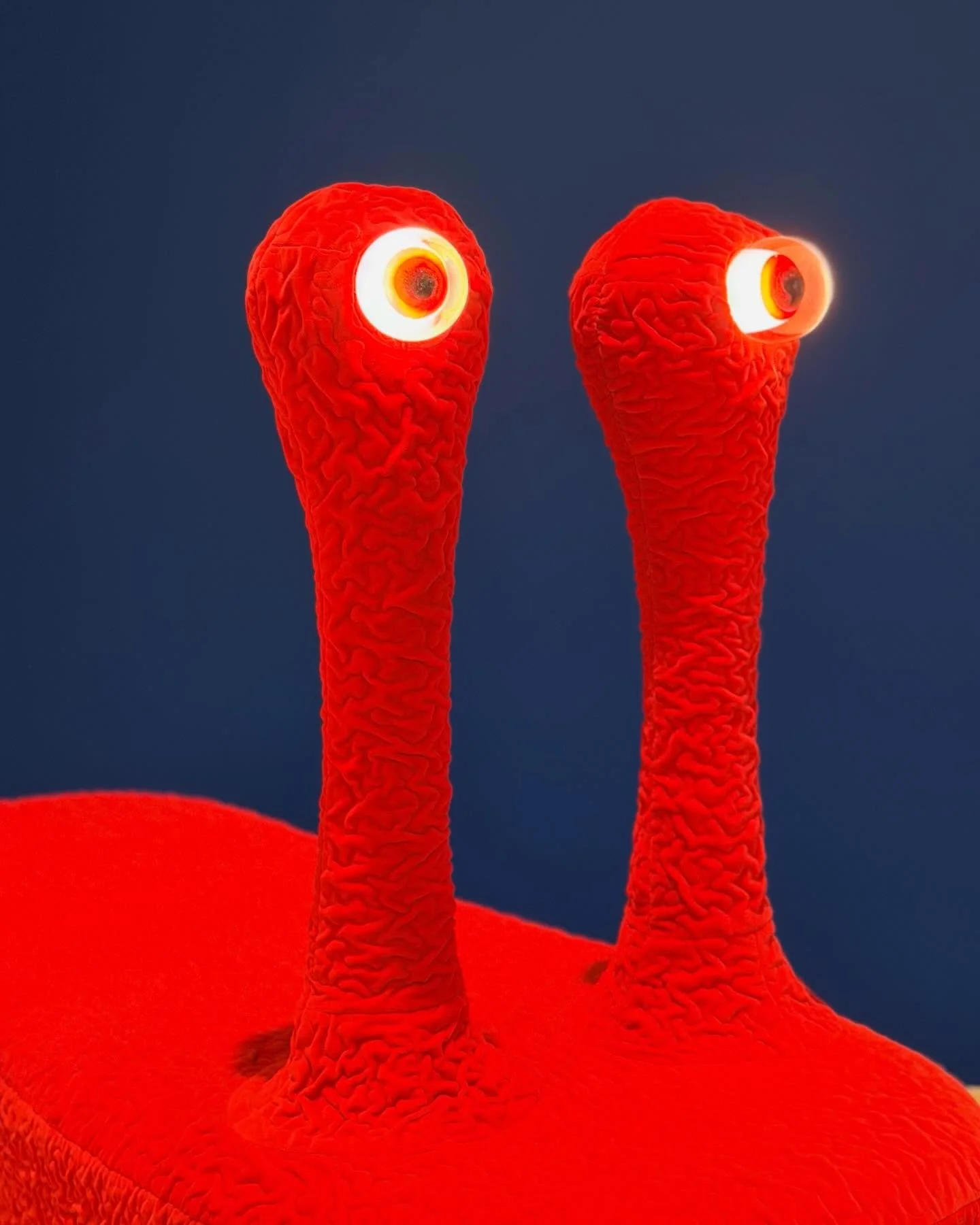 Kooky and captivating - the Haas Brothers show at Cranbrook Art Museum ends in two weeks. A great antidote to Michigan winter doldrums. 
.
.
.
@cranbrookartmuseum @thehaasbrothers @lauramottcurator #uncannyvalley #contemporaryartwork #haasbrothersunc