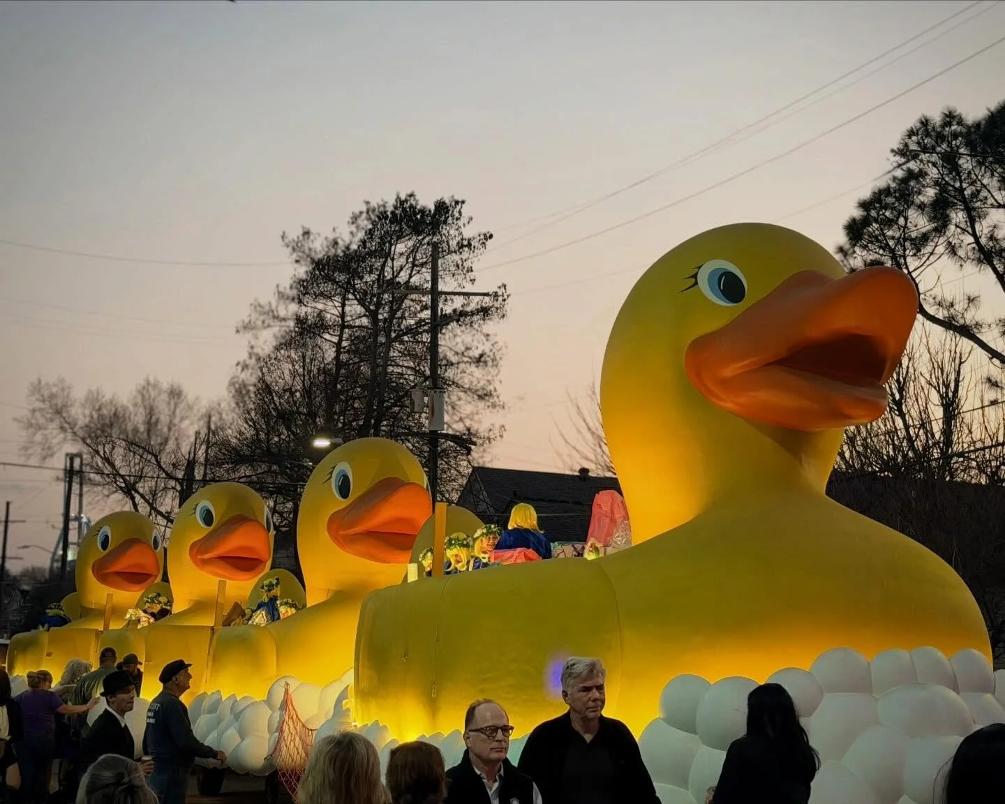 Now it&rsquo;s official. It&rsquo;s Carnival time!
Muses on Thersday night - rubber duckies and so much more. 
.
.
.
@kreweofmuses @neworleans #mardigrasparade #nolalove @staugmarching100 #mardigras #throwmesomethingsister #carnival @lbvnola @pretty.