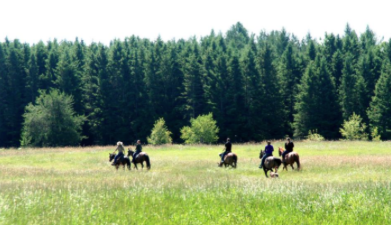 CARPE DIEM: THE ENJOYMENT OF THE PLEASURES OF THE MOMENT WITHOUT CONCERN FOR THE FUTURE. BY KC HUTMACHER