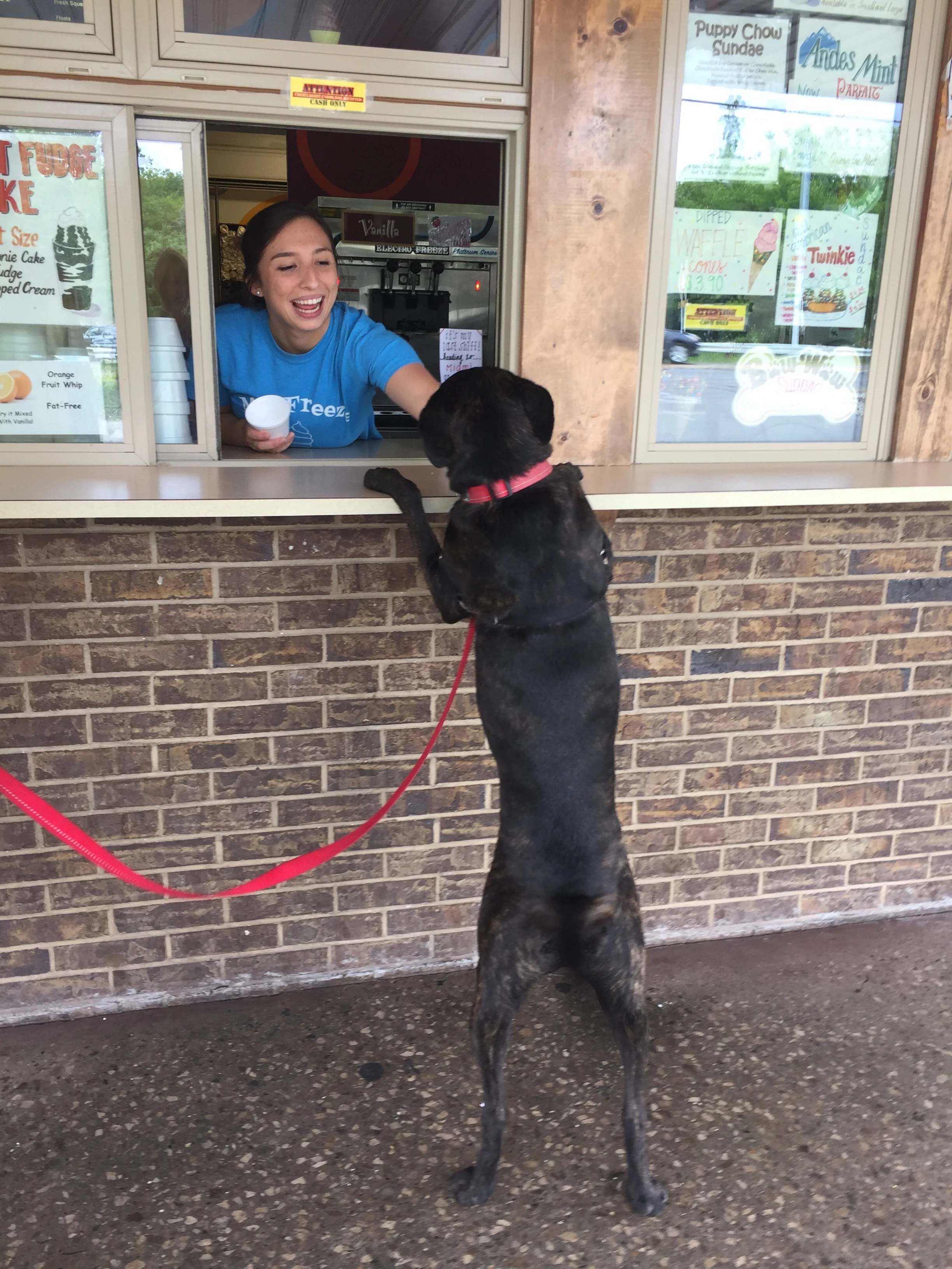 WHAT DID YOU DO THIS SUMMER? BY KATIE KOPAN