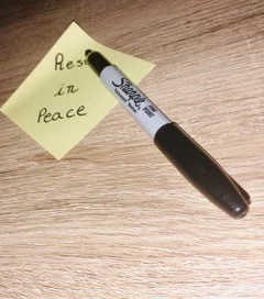 REST IN PEACE BY RYAN ADELSON