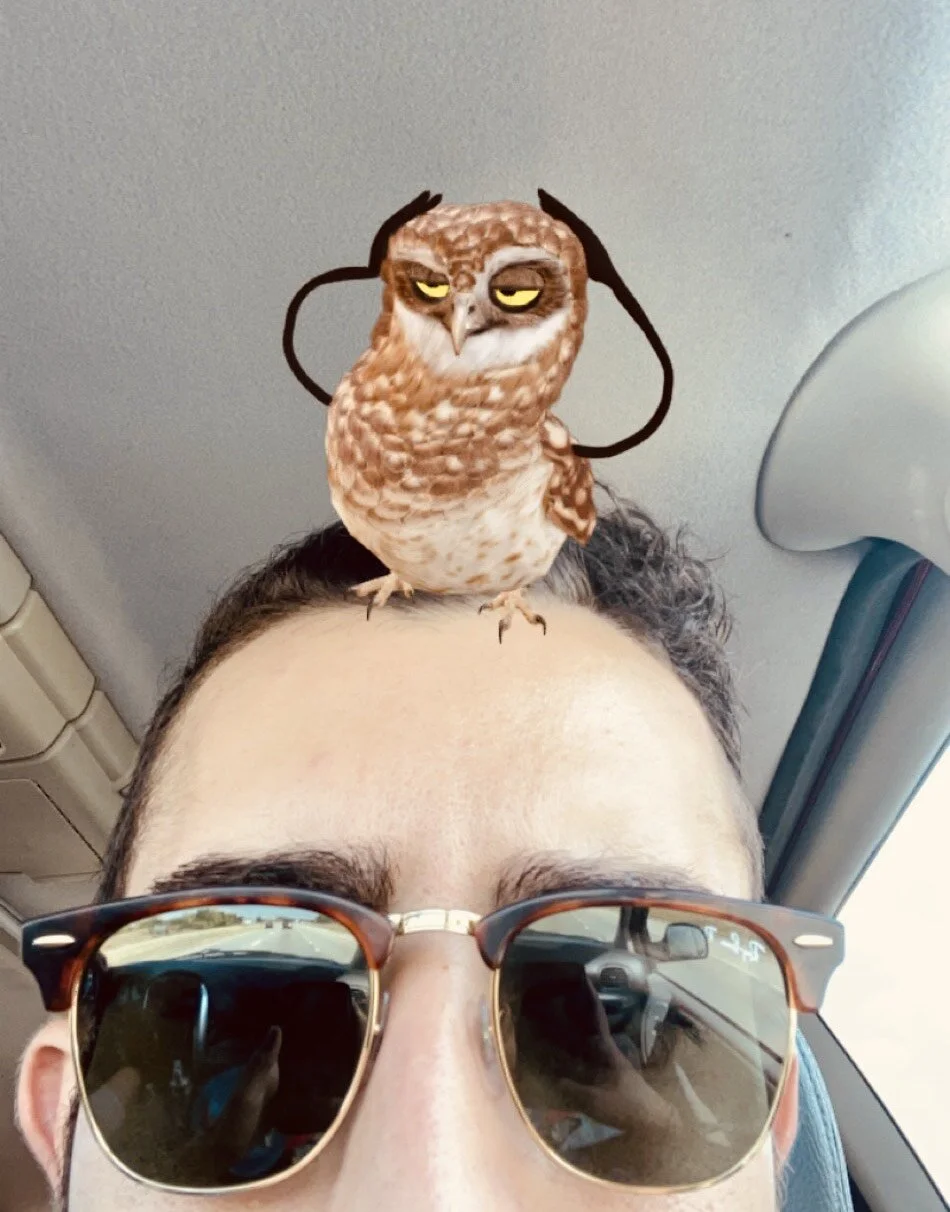 THE TALE OF THE NIGHT OWL BY GIANMARCO PETRELLI