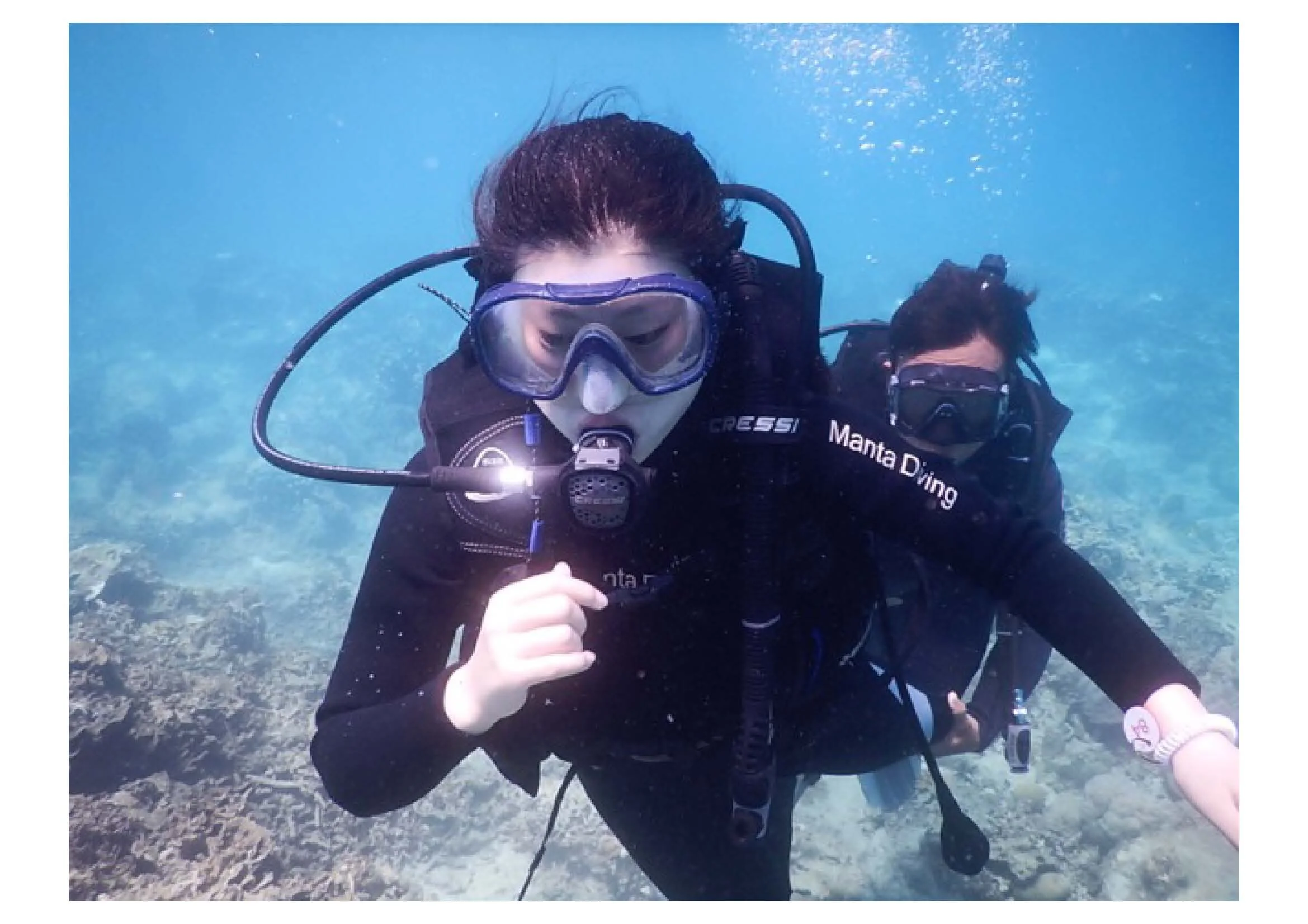 LOOK BACK BY SIERRA ZHANG