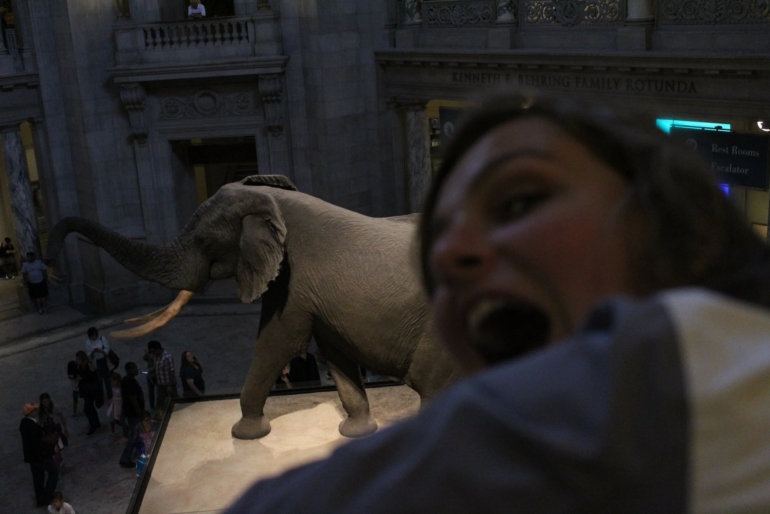 FEEL SOMETHING BY EMMA HEISE