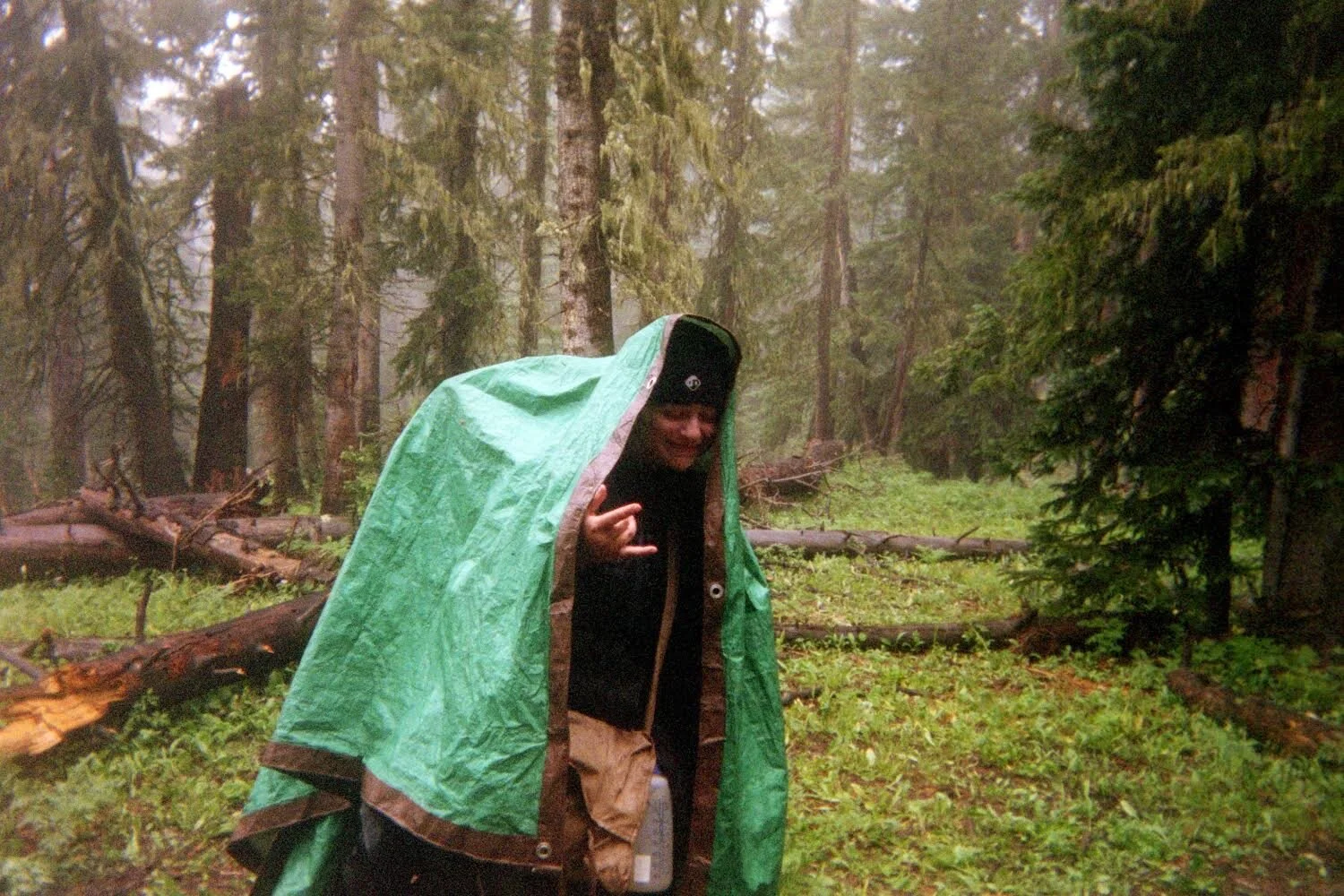 WHAT TO DO IN THE WOODS BY ELLIE BROADY