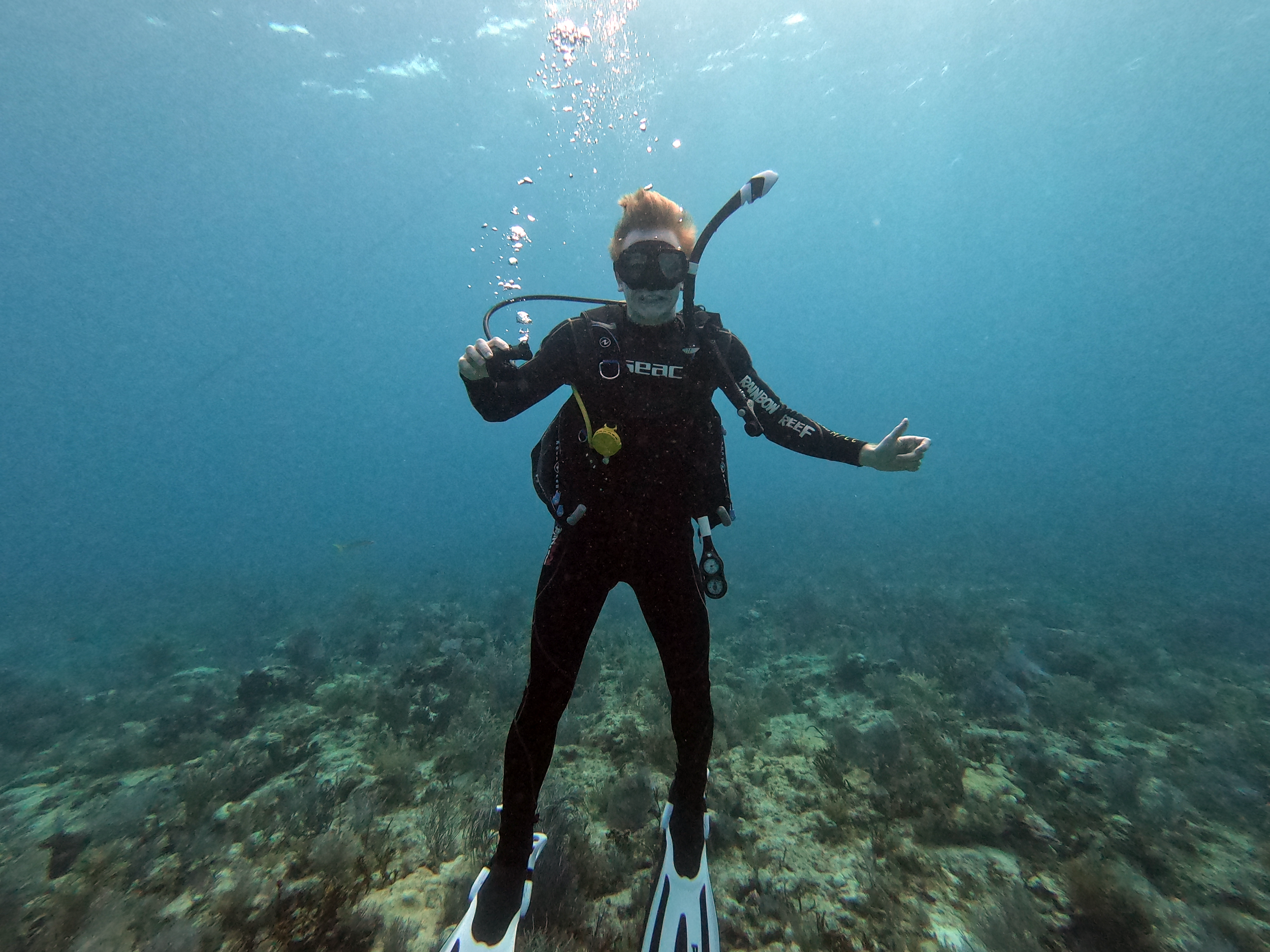 THE POWER OF YES: WHY NO GREAT STORY STARTS WITH "NO" BY CONNOR PATON