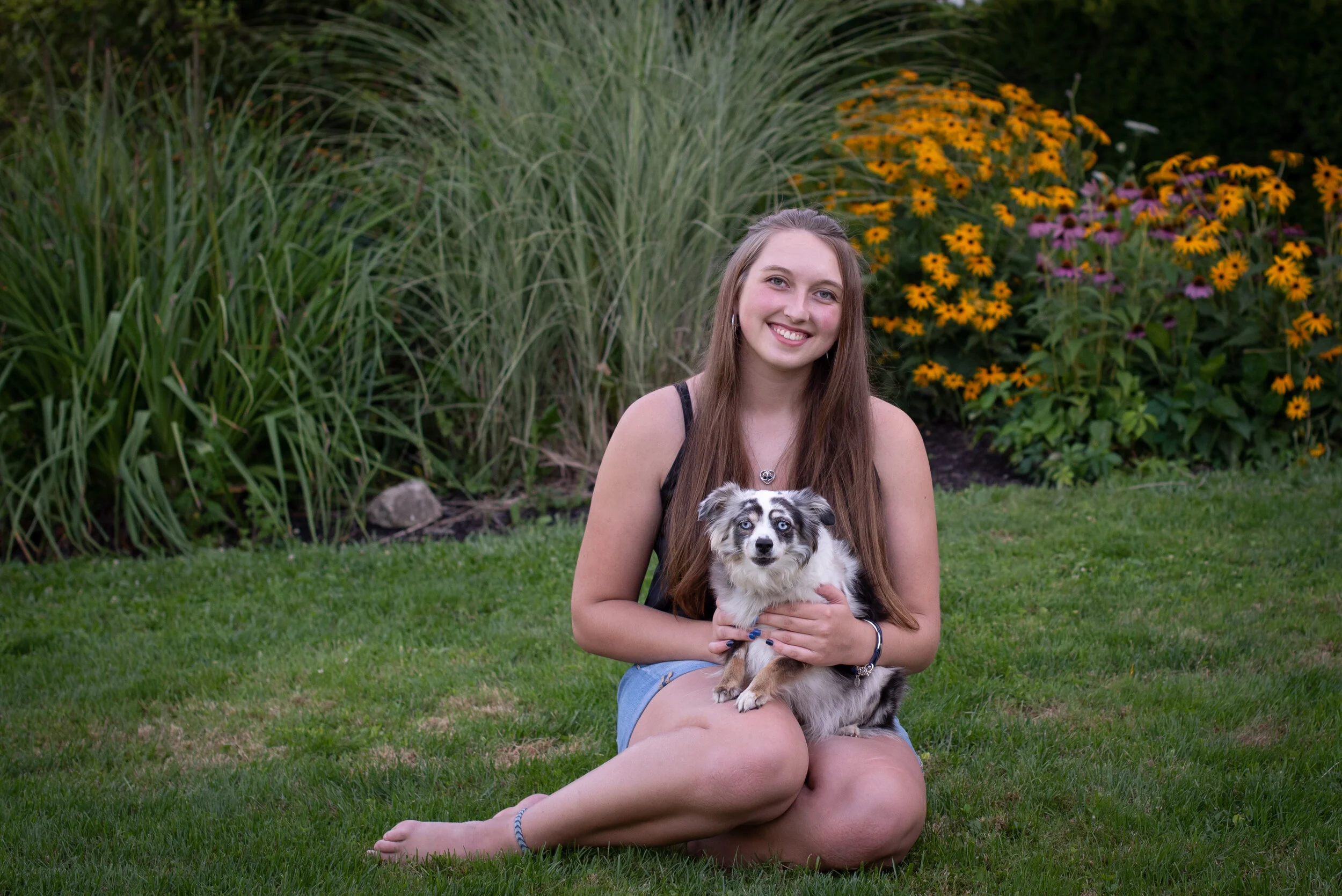 CREATIVE ANIMALS BY KALEIGH SEELY