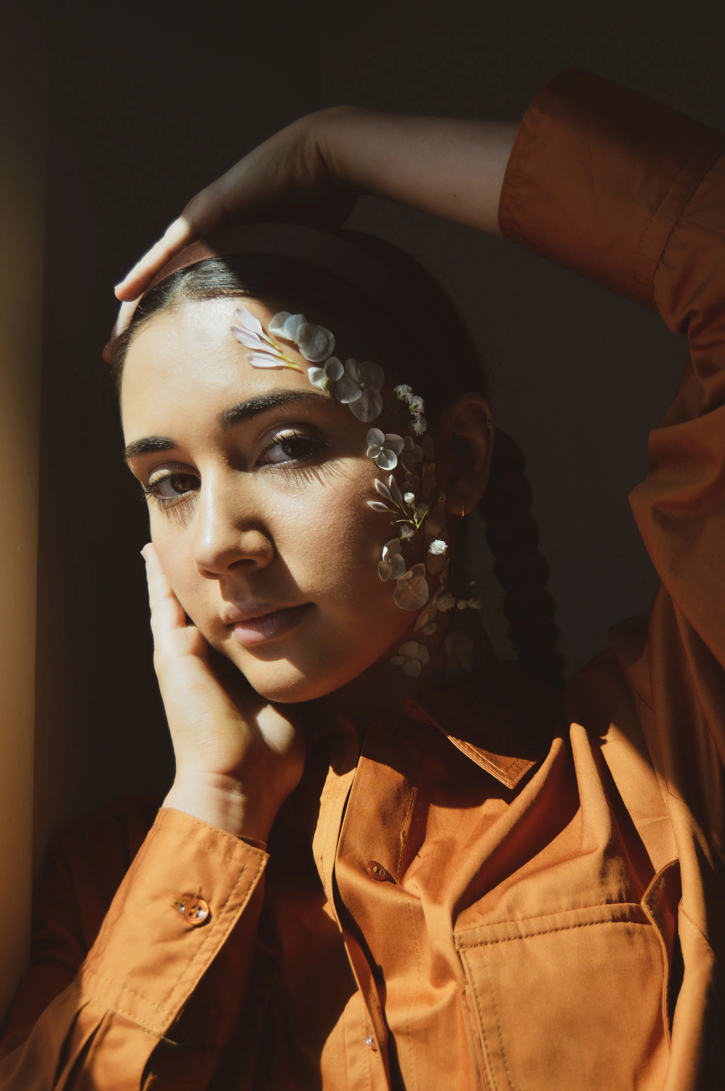 THE COMPARING CRISIS BY MIRANDA KRENTZ