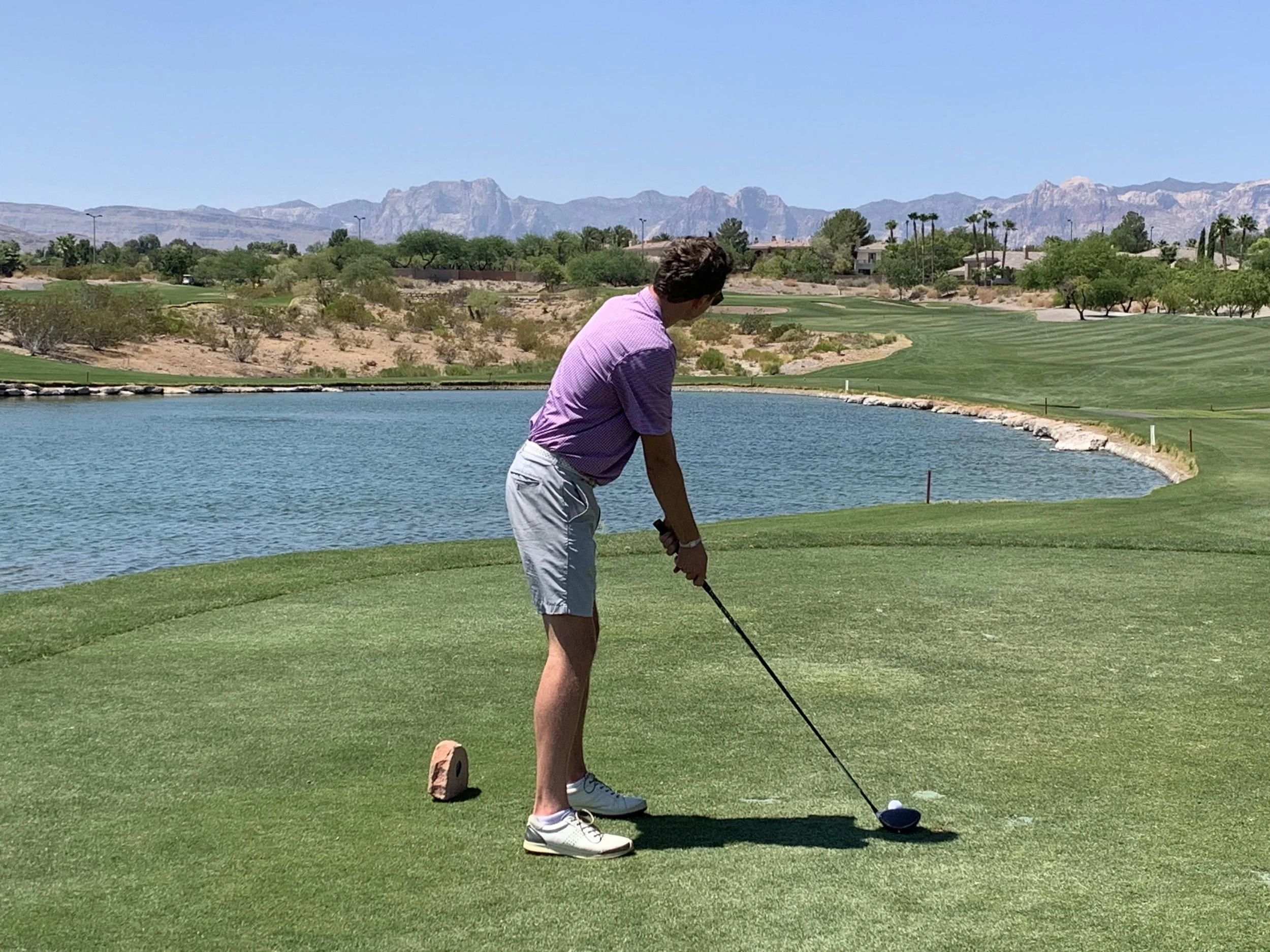 A WALK IN THE WOODS BY CAM MIKULA