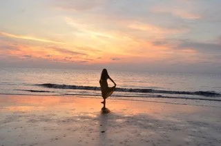 AS FREE AS A SEAGULL BY GEORGIA SLAGEL