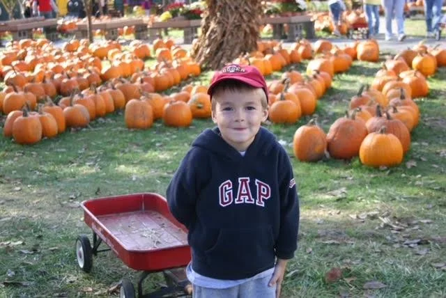 CREATIVITY IS CARVING IDEAS INTO ACTION