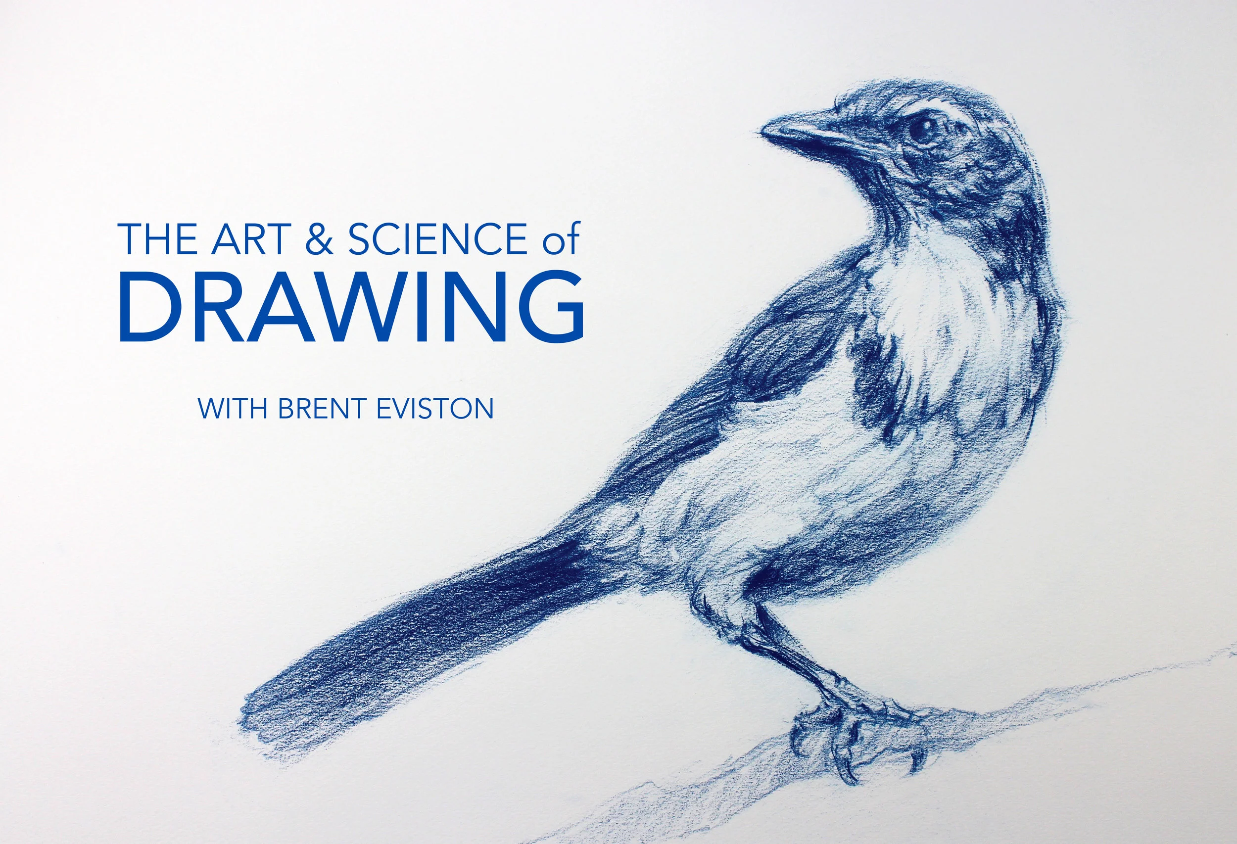 WEBSITE AS 2 Small.jpg