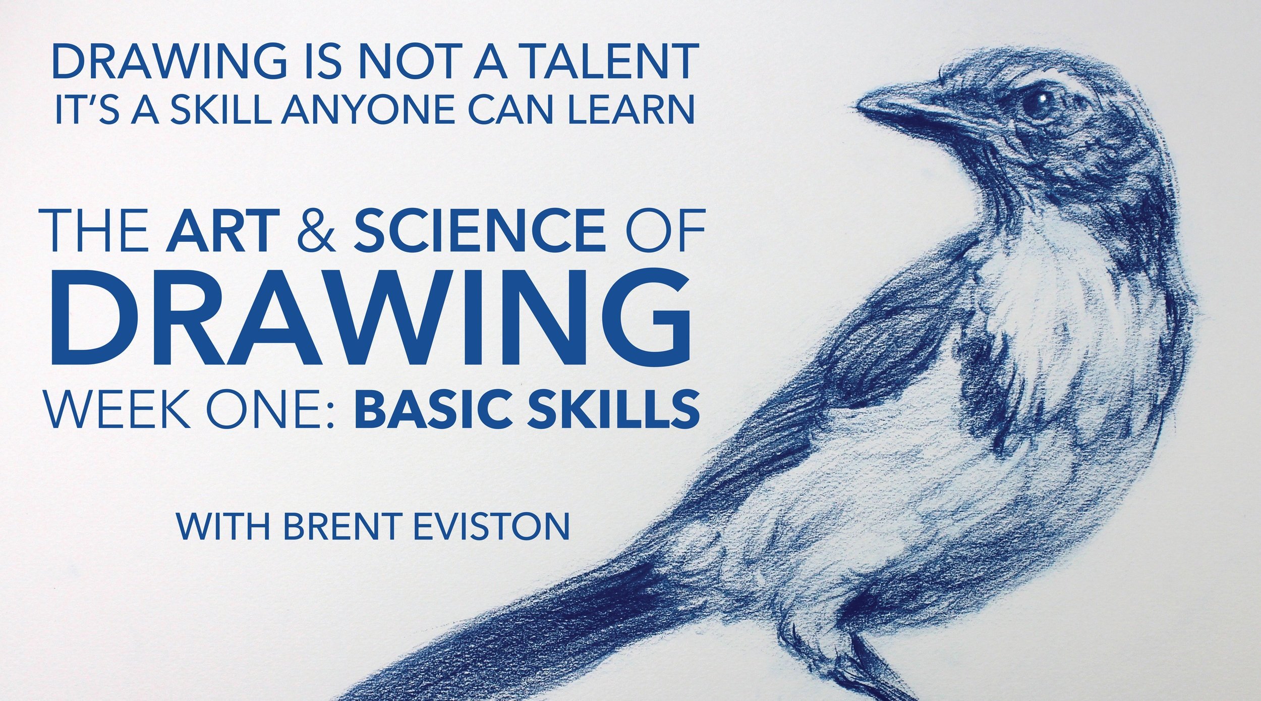 BASIC SKILLS