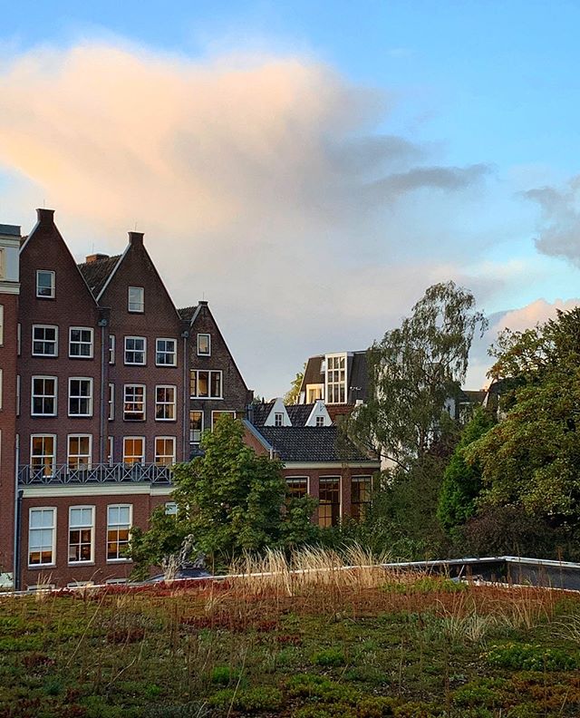 Amsterdam | Waldorf Views | September 2019