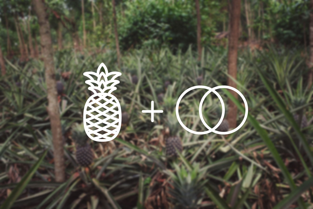logo_explained.jpg