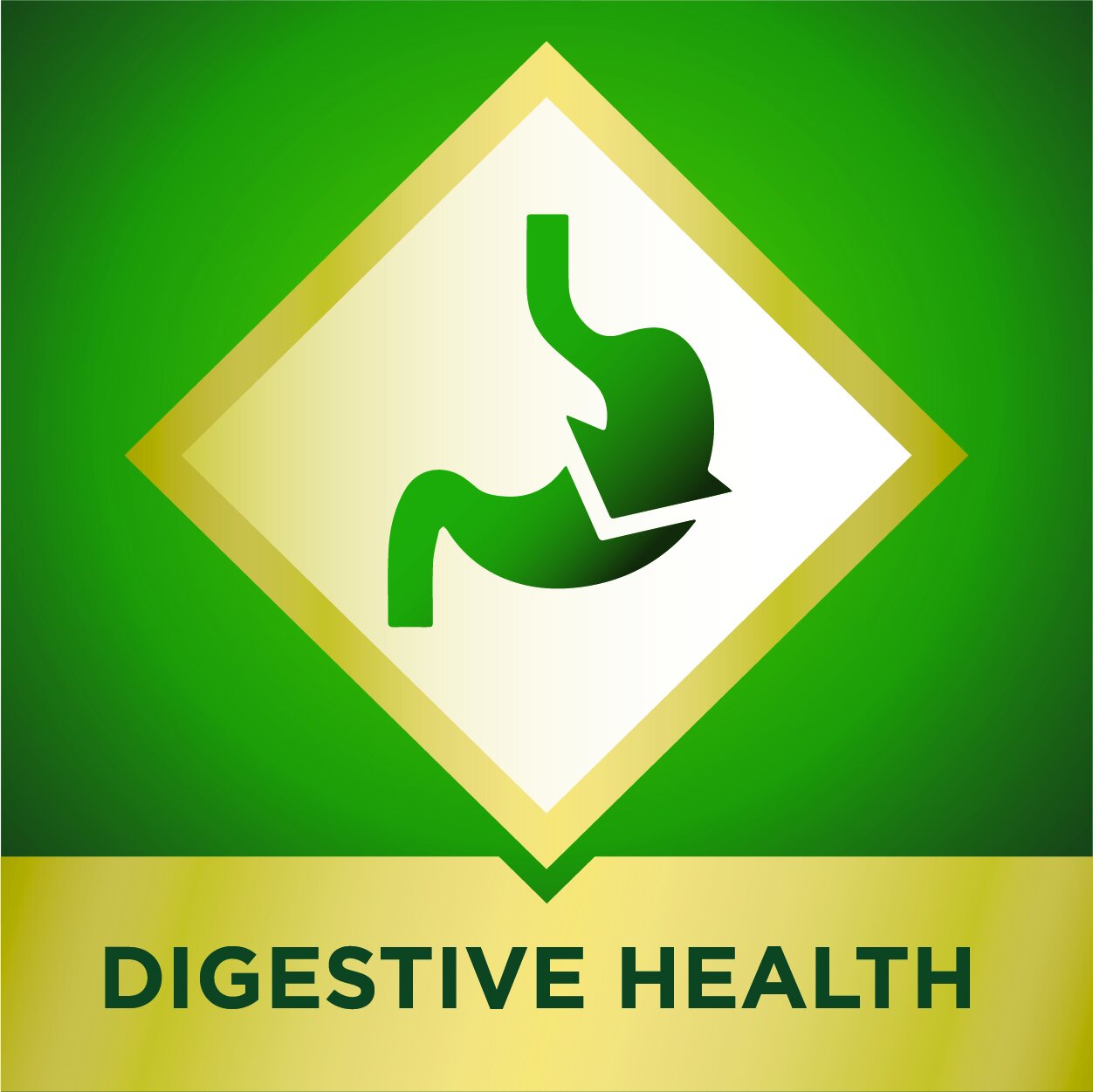 digestive-icon-green.jpg
