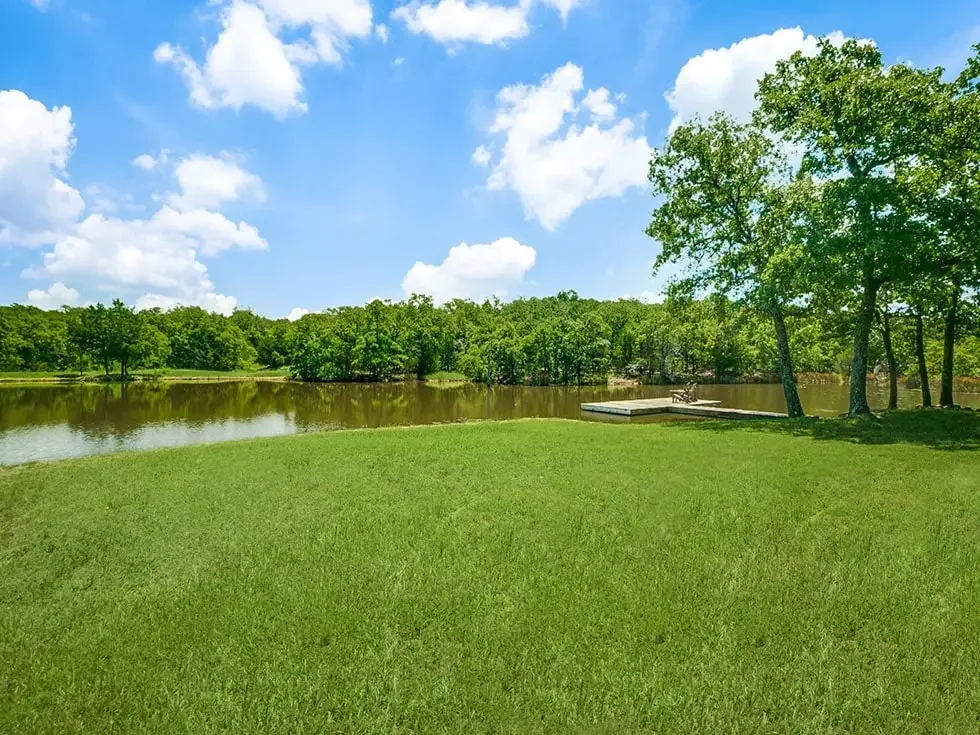 pond-lake-view.webp