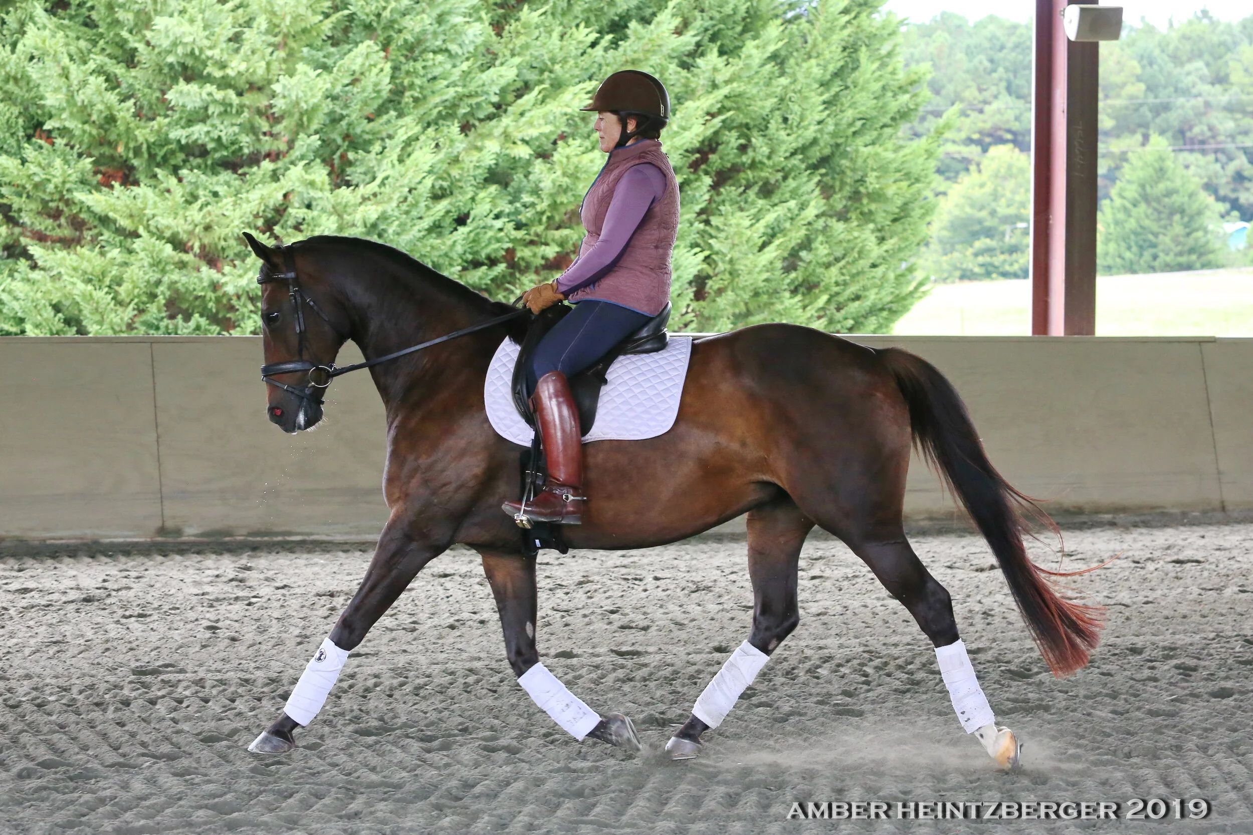 Schooling at Pennwood Farm