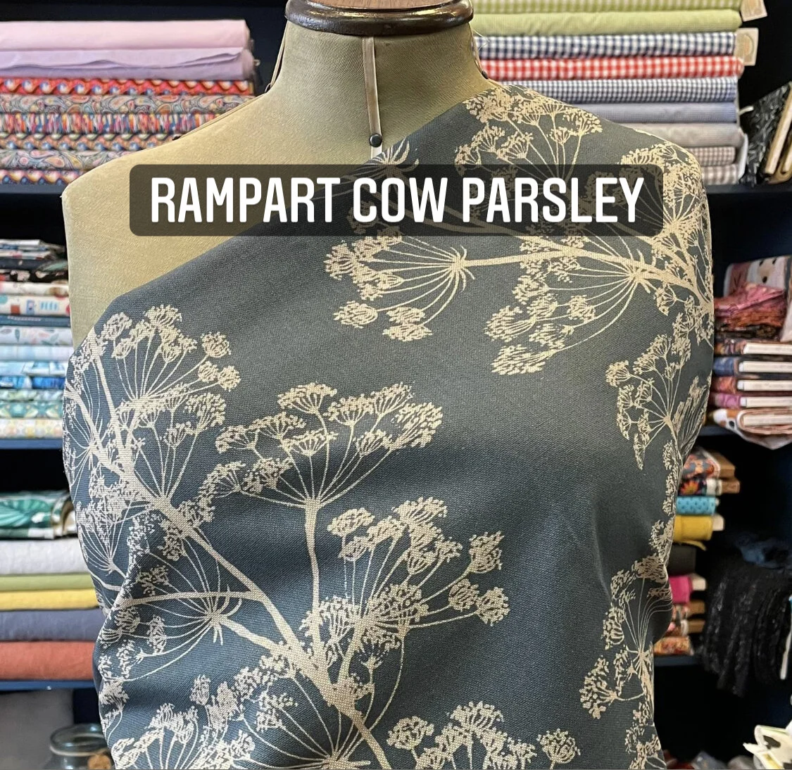 E282A70C-E440-487E-AD44-49941E3669DC