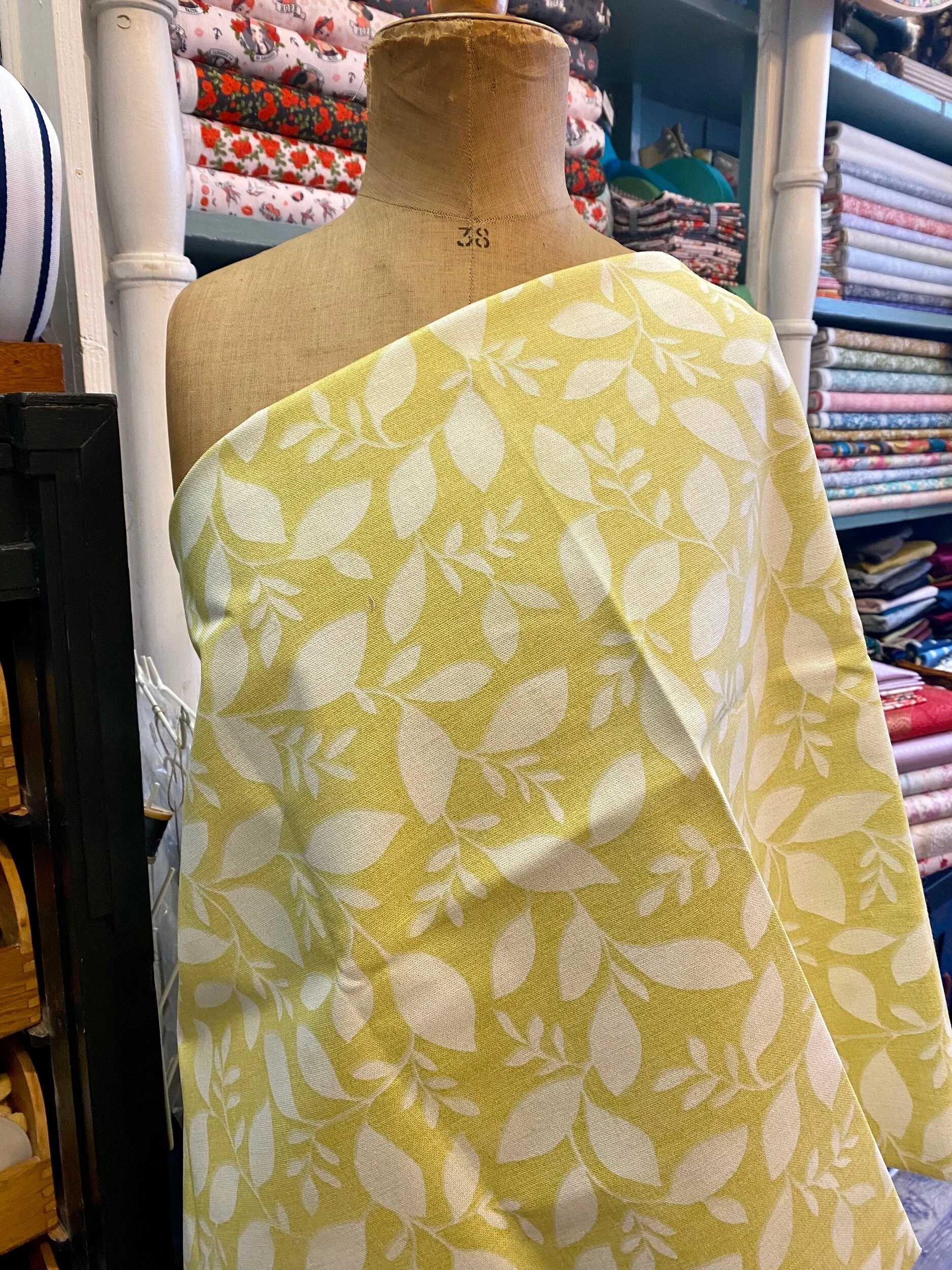 F7A55D1F-9FC6-42A8-A861-55E213DF7CE3