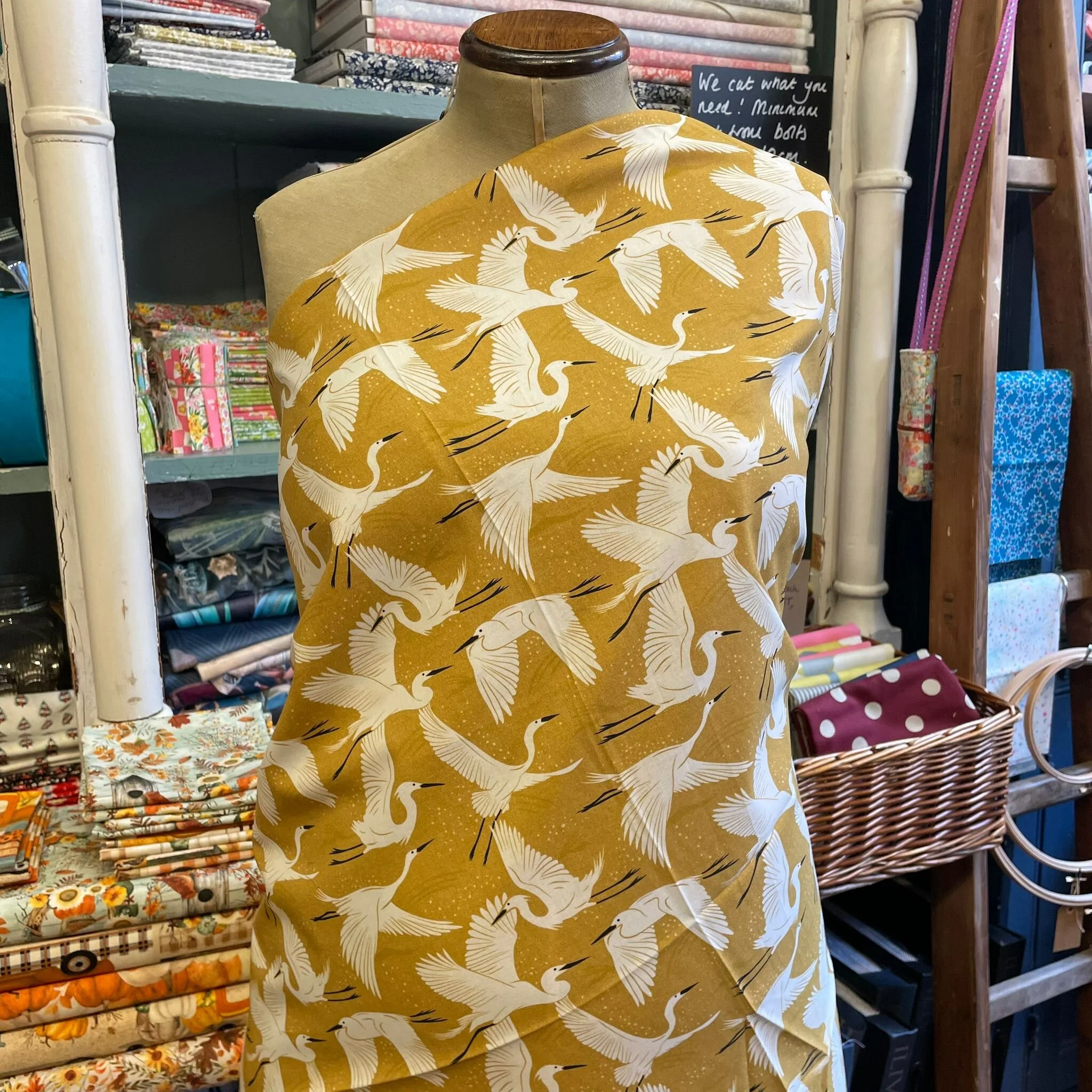 31F74200-F966-486B-8262-5629027AF732