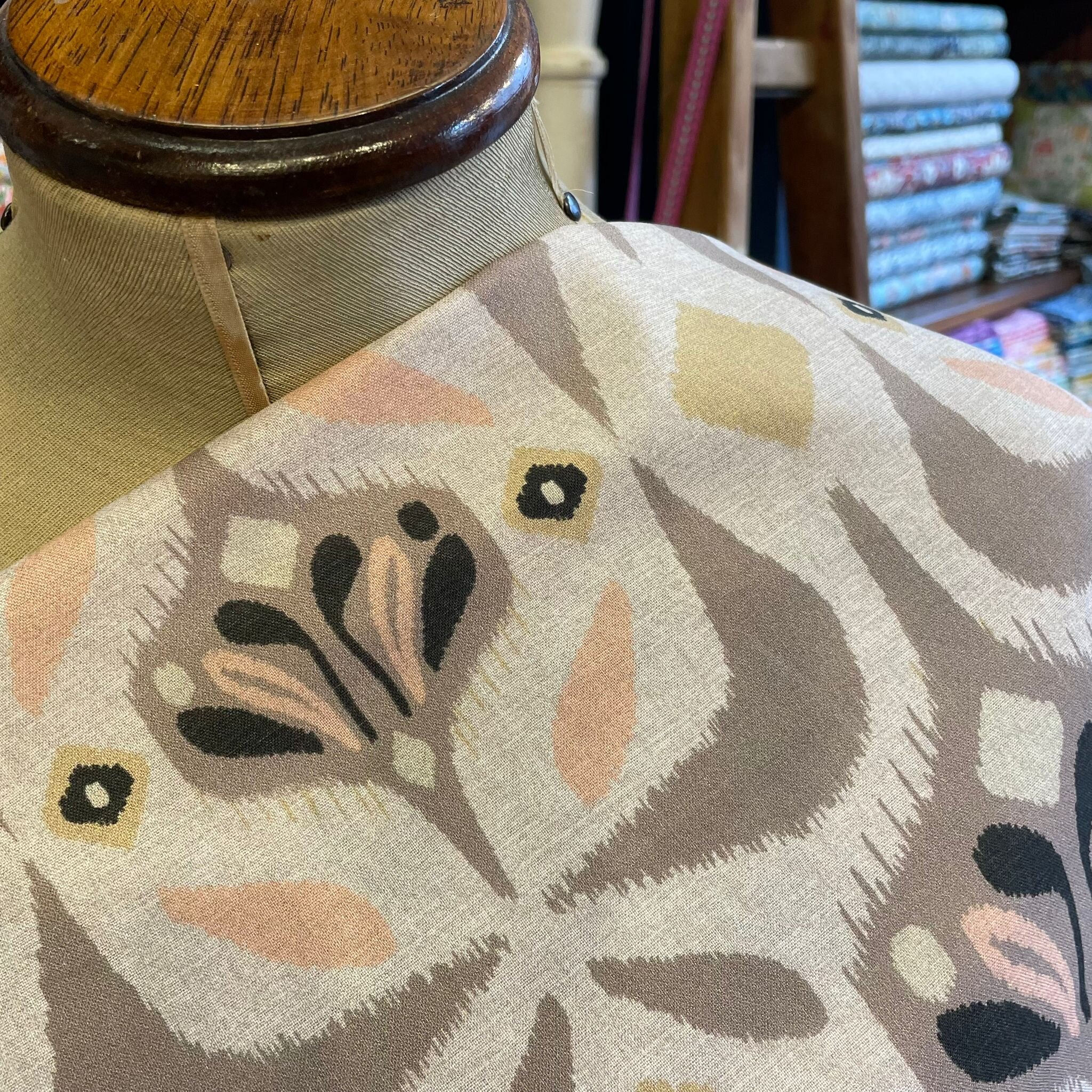 F484A547-BFF8-4FCD-99F9-978FF512E718