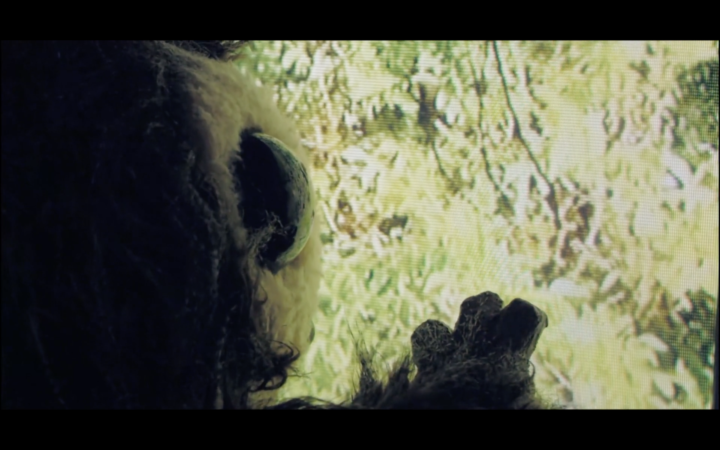 PetsScreen Shot 2017-12-29 at 6.26.11 PM.png