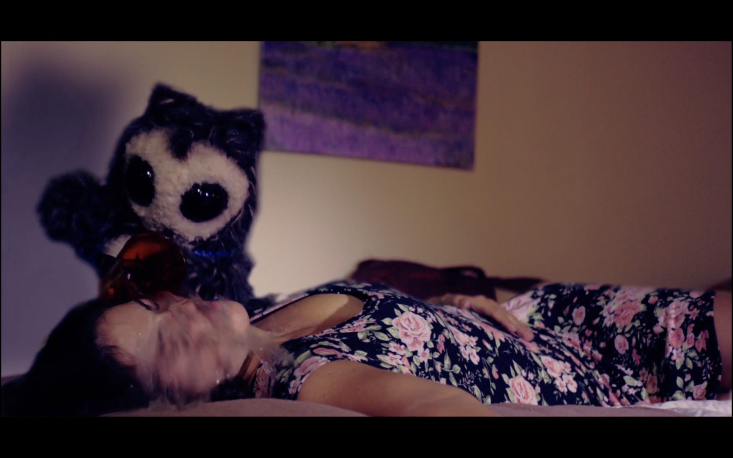 PetsScreen Shot 2017-12-29 at 6.29.38 PM.png