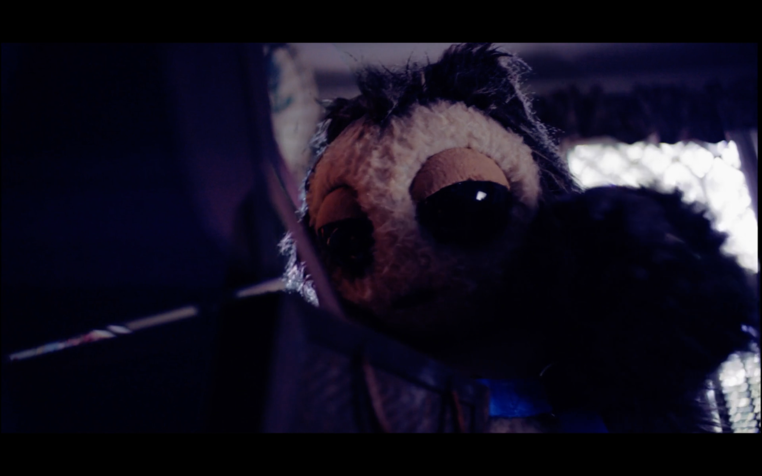 PetsScreen Shot 2017-12-29 at 6.30.20 PM.png