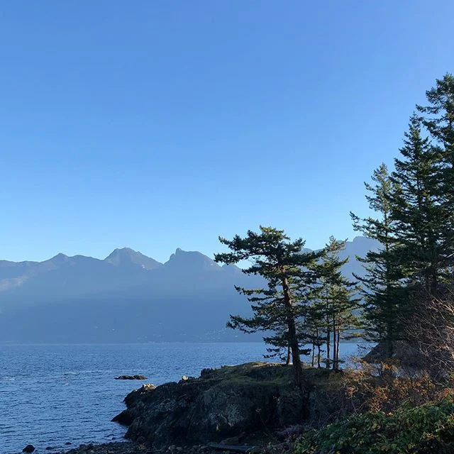 Site visit. Bowen Island. .
.
.
.
.
#architecture #cabin #westcoastarchitecture #nature #beautifulbc