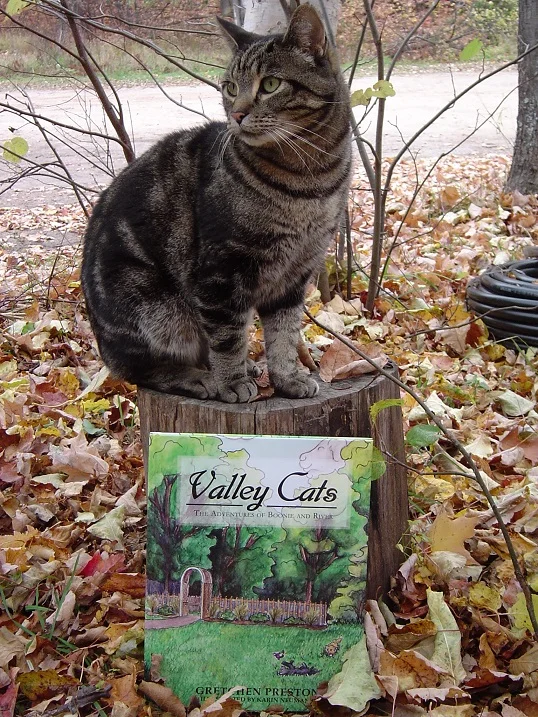 The first in Preston’s Valley Cats series. Also, a cat.