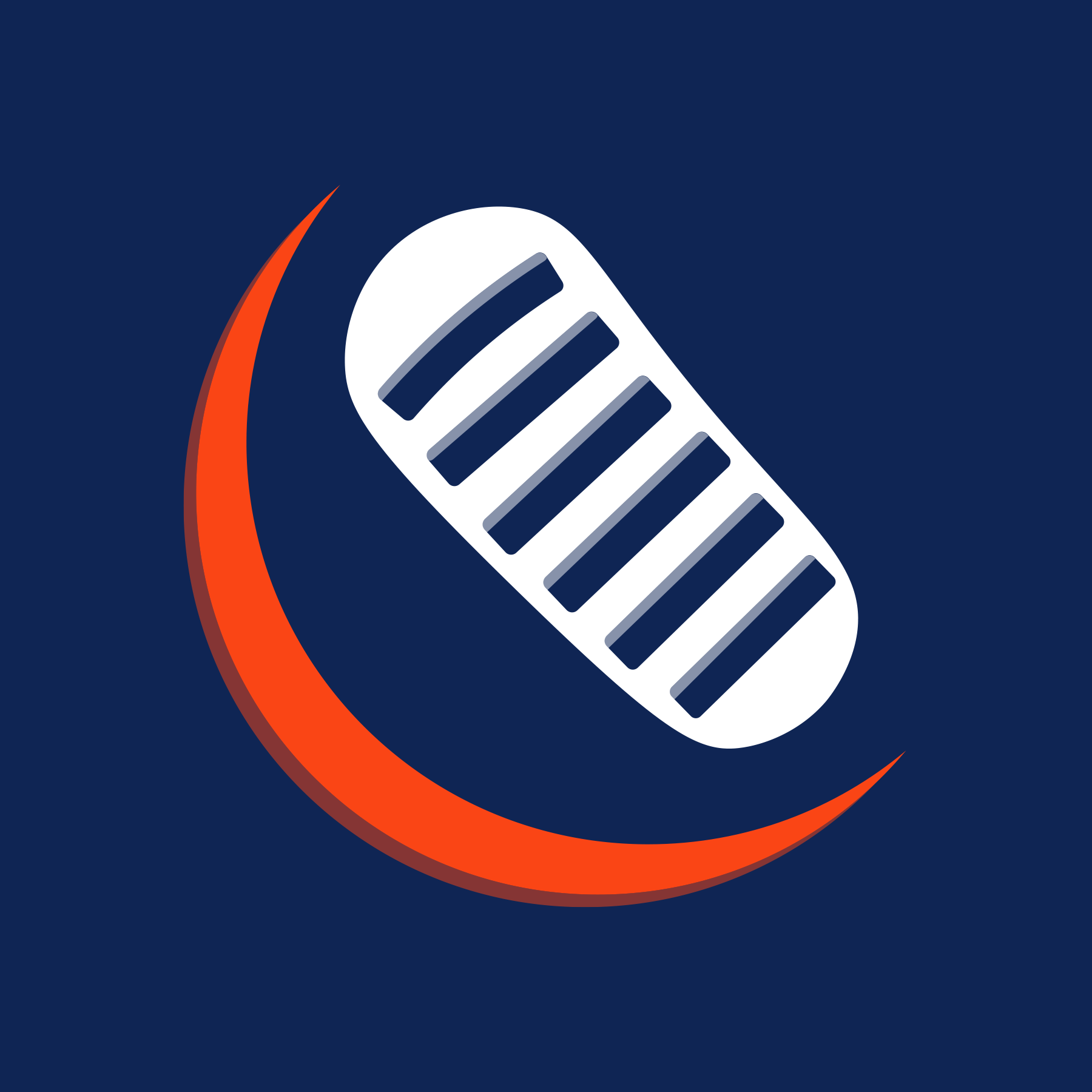 Small-Step-Solutions-Logo-Icon.png