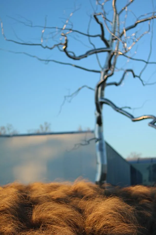 North Carolina Museum of Art
