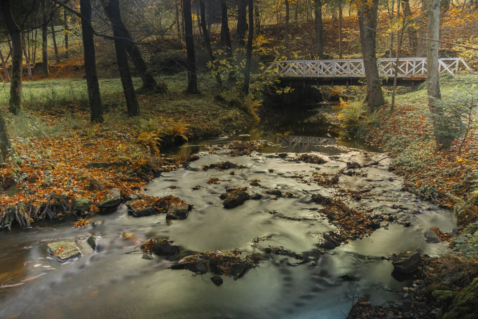 Yorkville Community FCU Picture #4.jpg