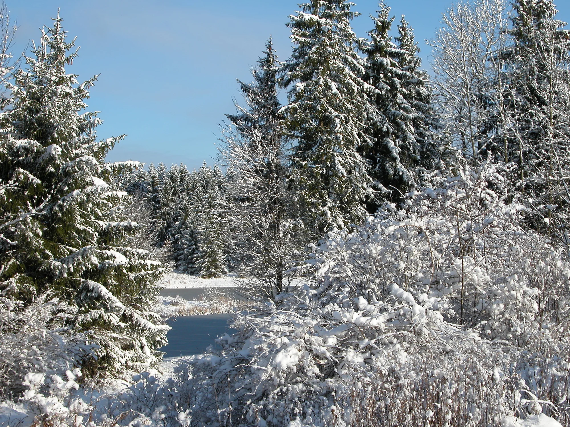 Yorkville Community FCU Picture #9.jpg