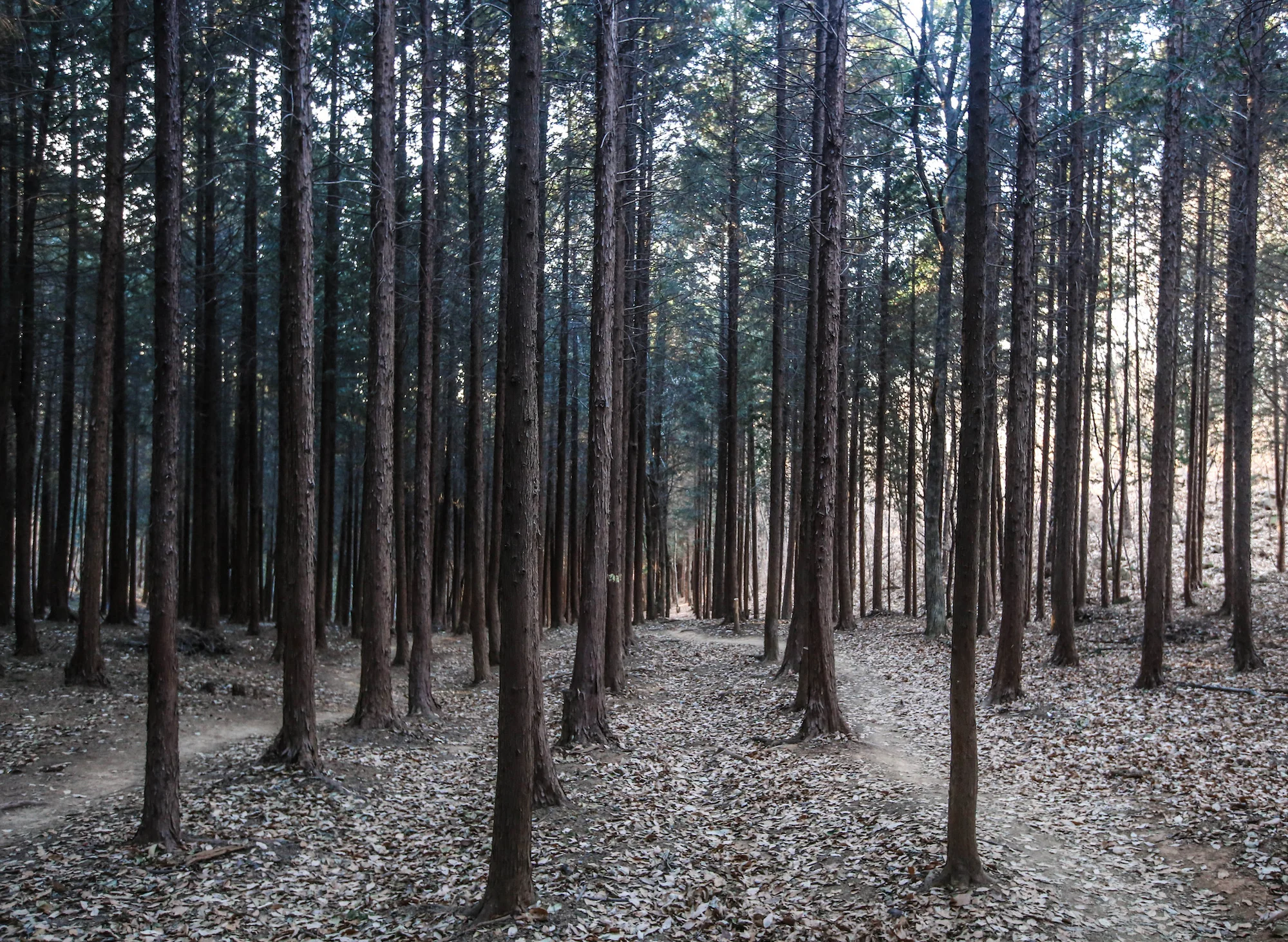 Yorkville Community FCU Picture #11.jpg