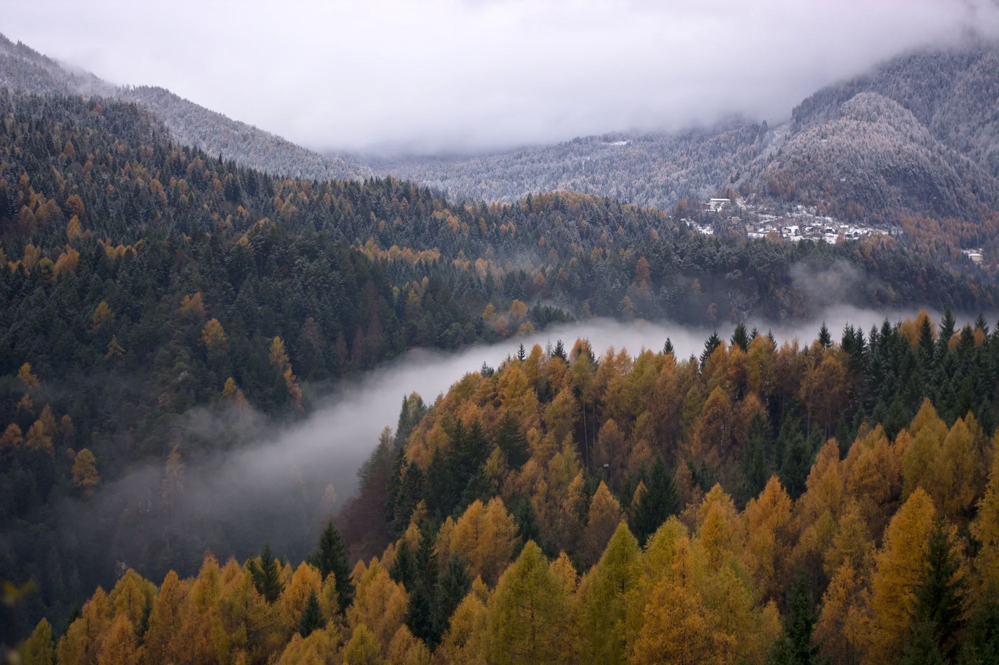 Yorkville Community FCU Picture #1.jpg