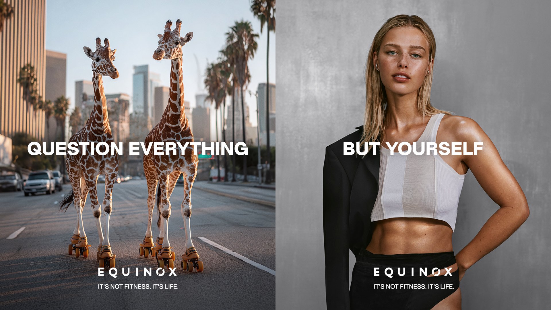 _Equinox US_Campaign_PR 1920x1080_Giraffes+Lily.jpg