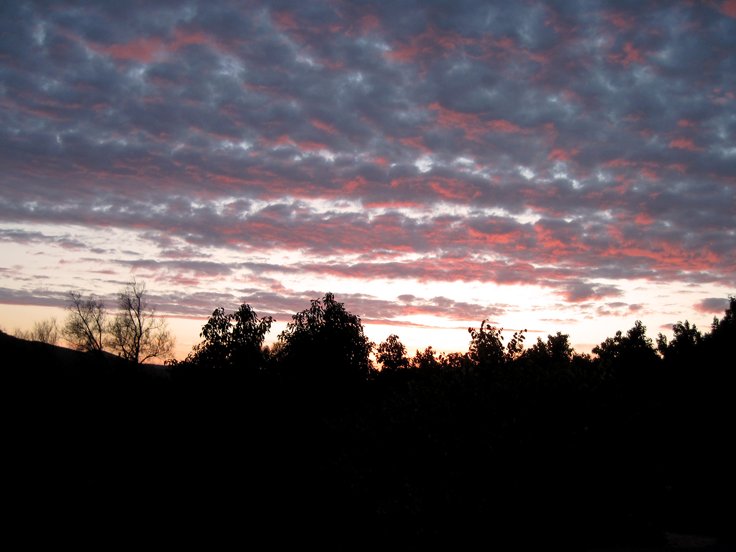 meditation and sunset