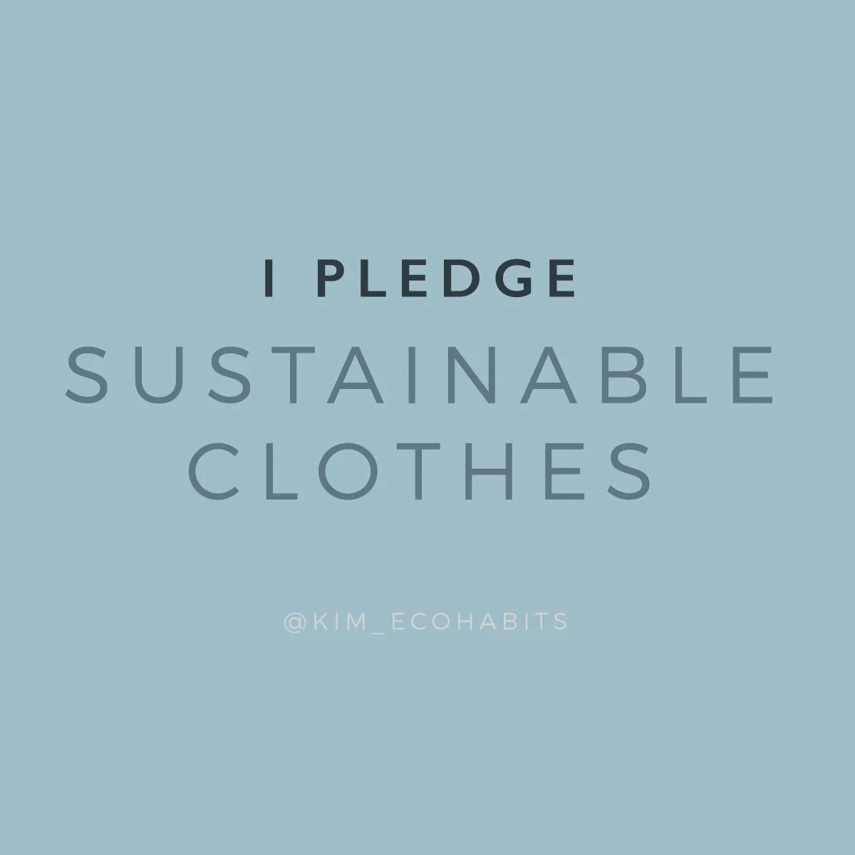 ClothesLESS_Pledge.jpg