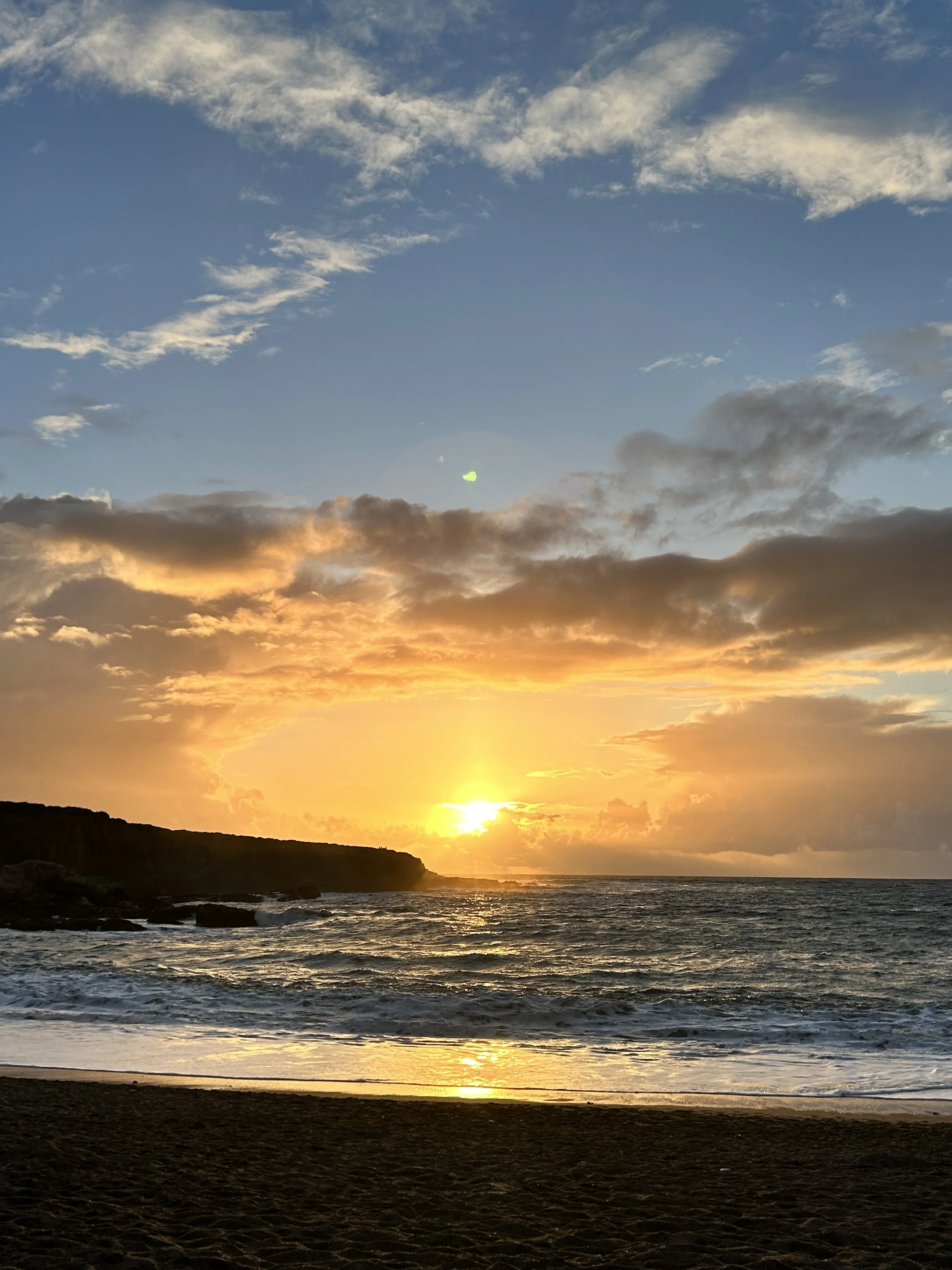 Everyday Eco-Habits for Gratitude Towards Nature this Thanksgiving Season