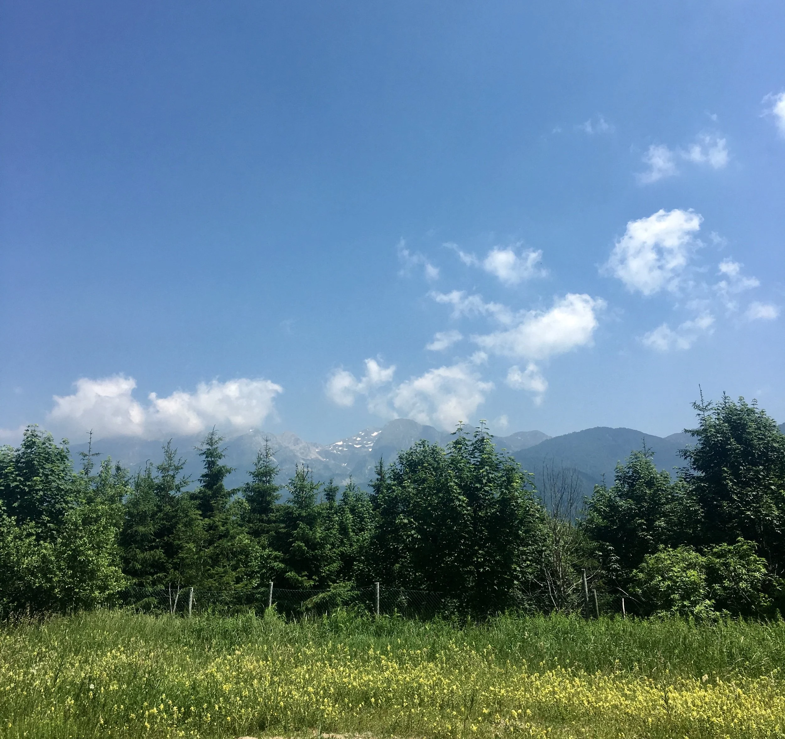 Everyday Eco-Habits for the Holiday Season